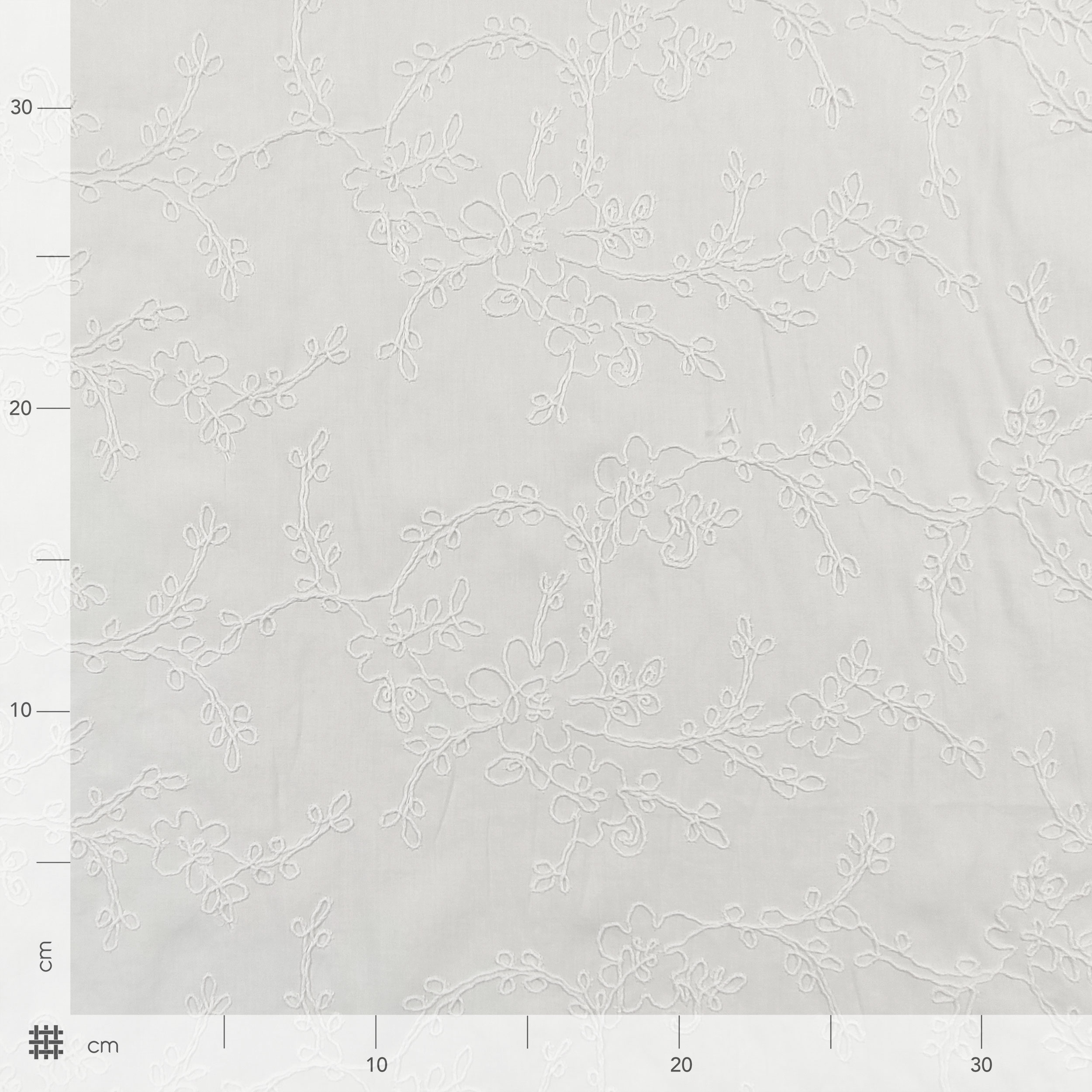 Sangallo di Cotone Bianco Ricamo Floreale Image