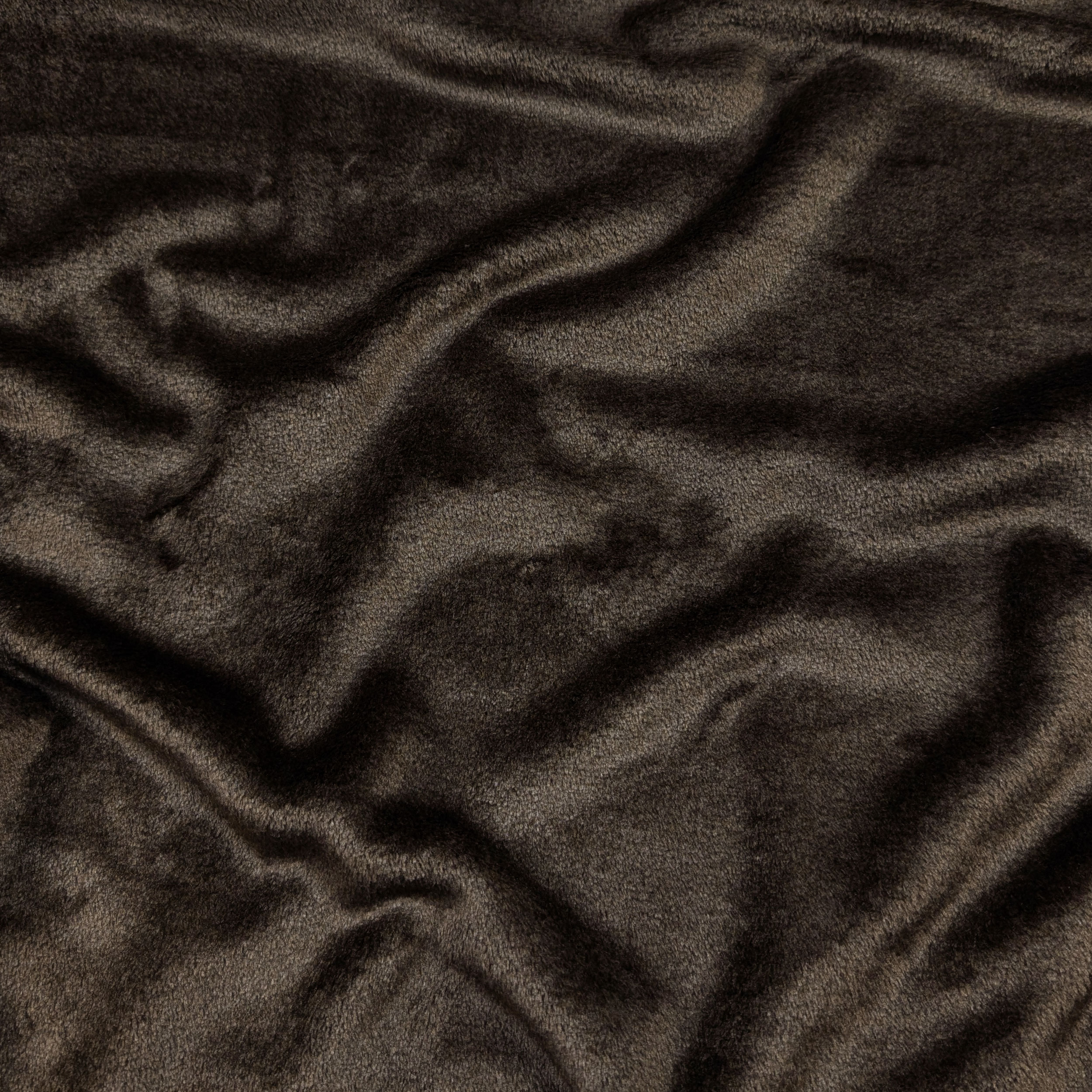 Marrone - C448