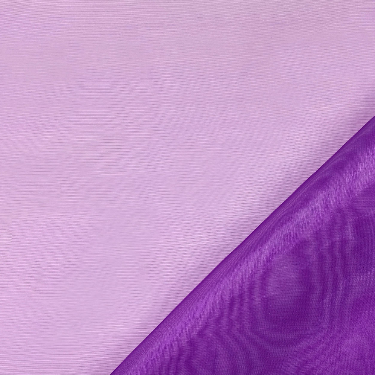 Tessuto Organza H 140 cm Image