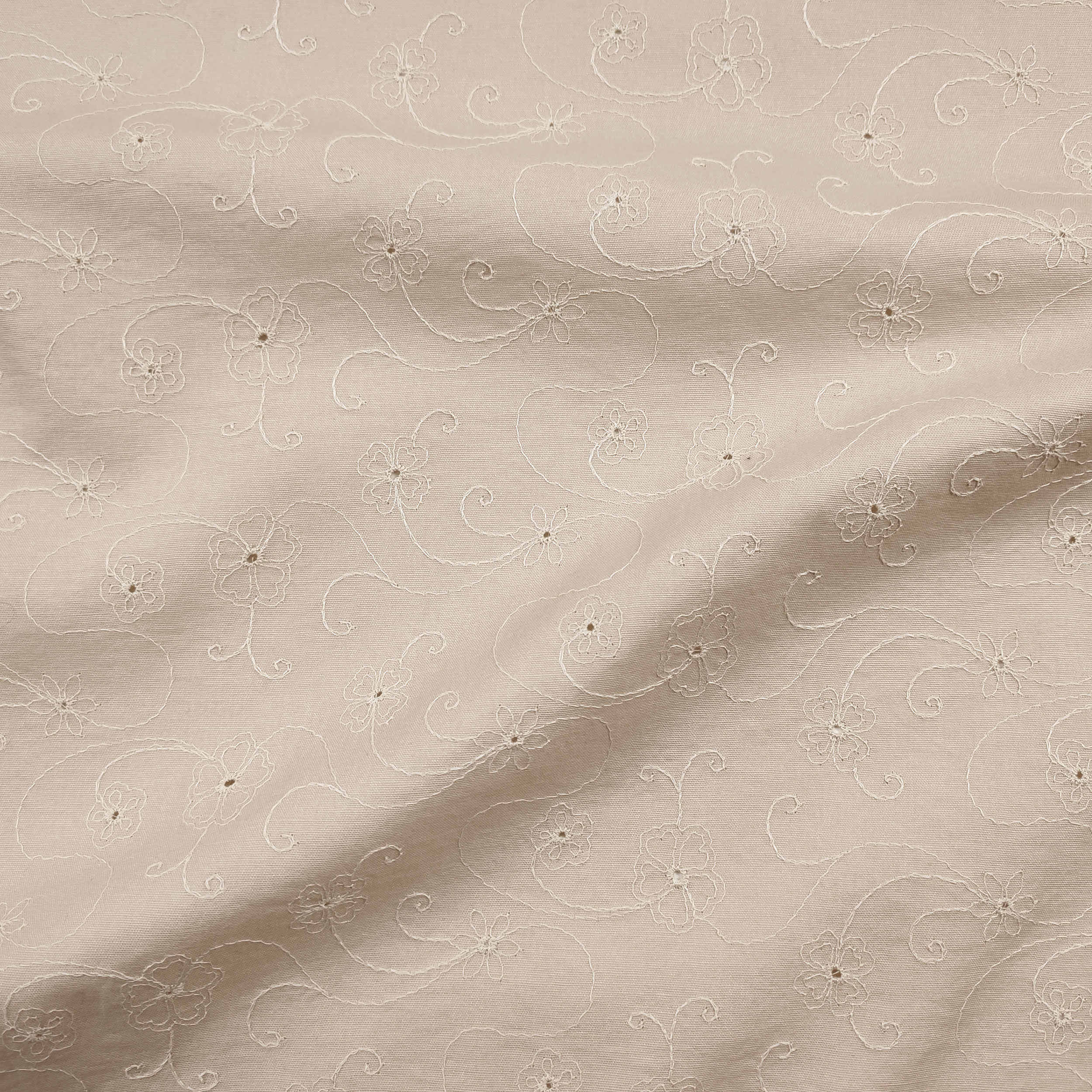 Cotone Sangallo Beige