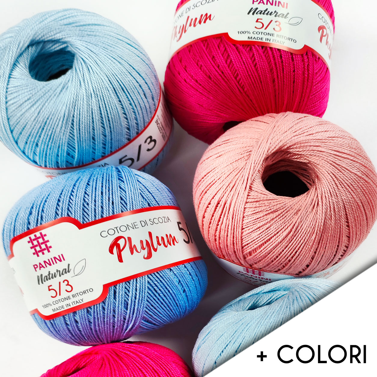 + COLORI phylum 5 3