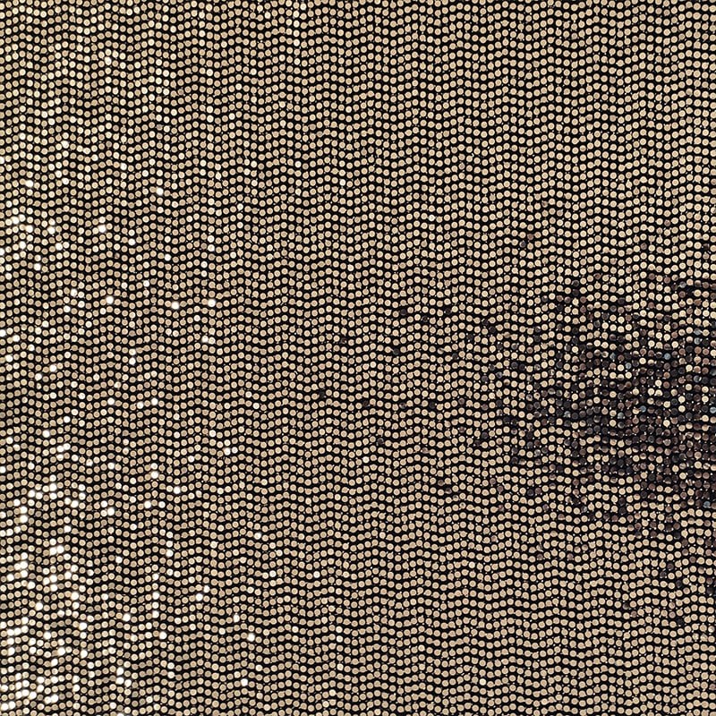 Jersey Paillettes Laminato Image