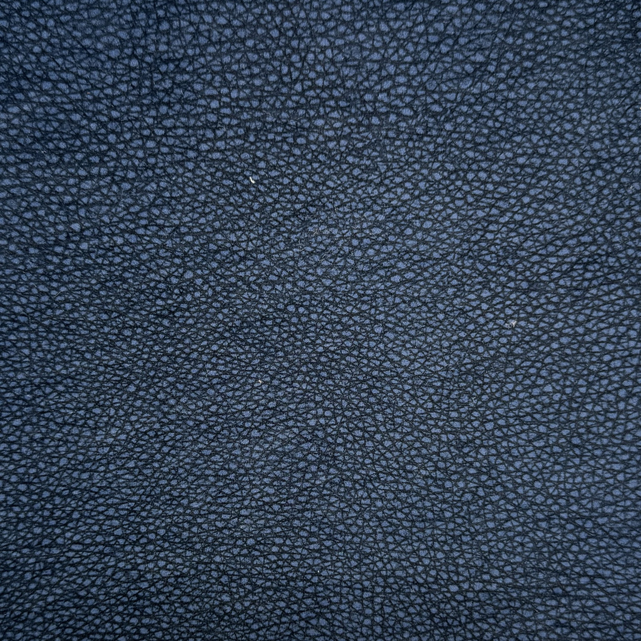 Blu - 11