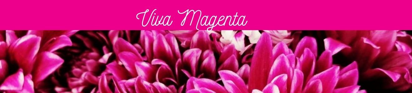 viva-magenta-copertina-panini (1)
