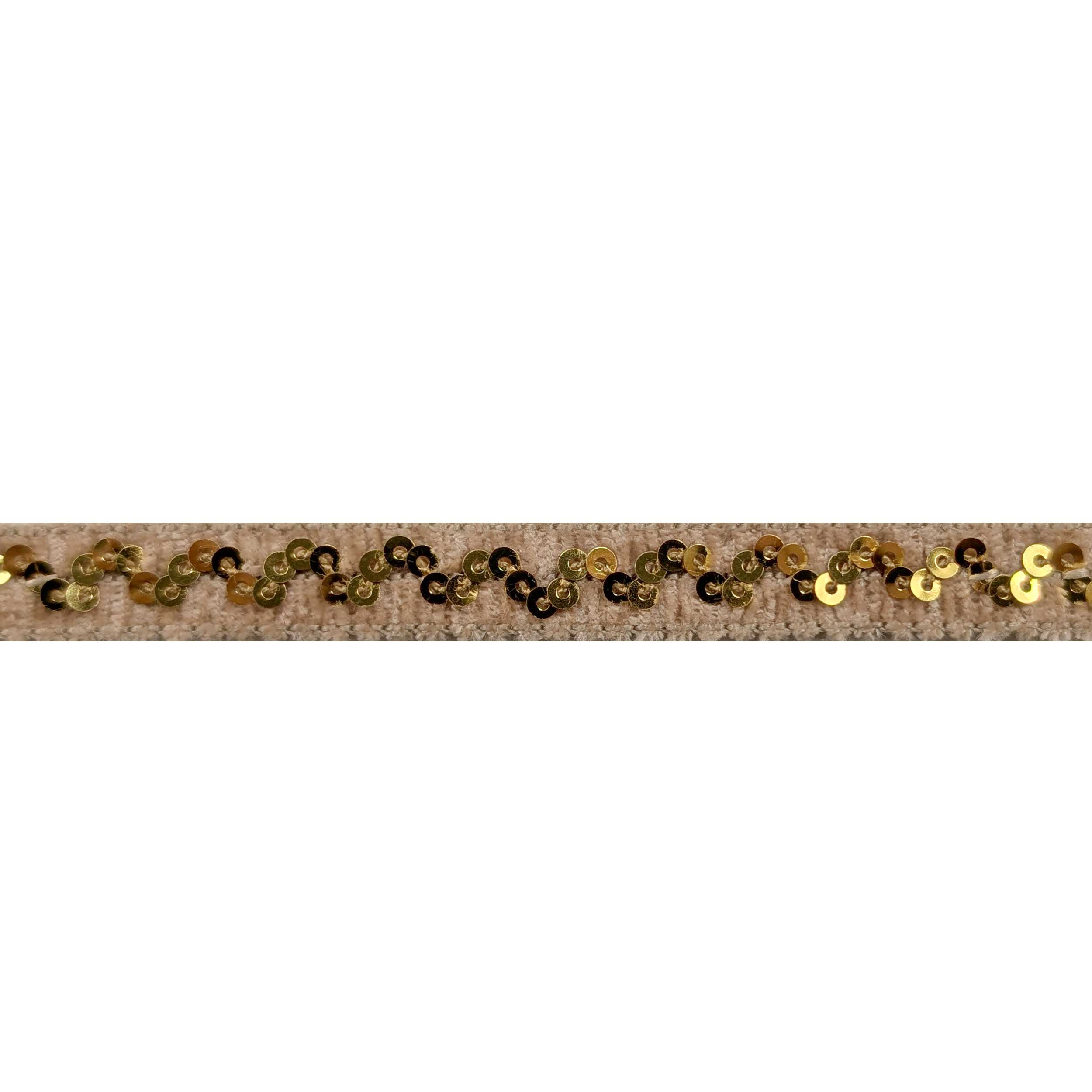 Passamaneria Beige con Paillettes Image