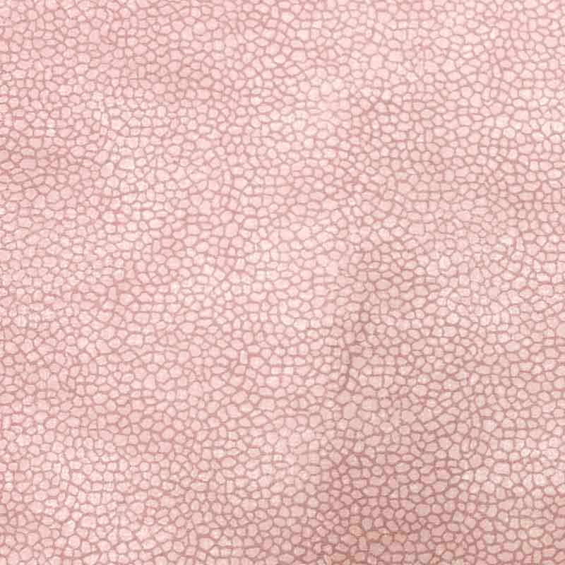Cotone borbonese rosa