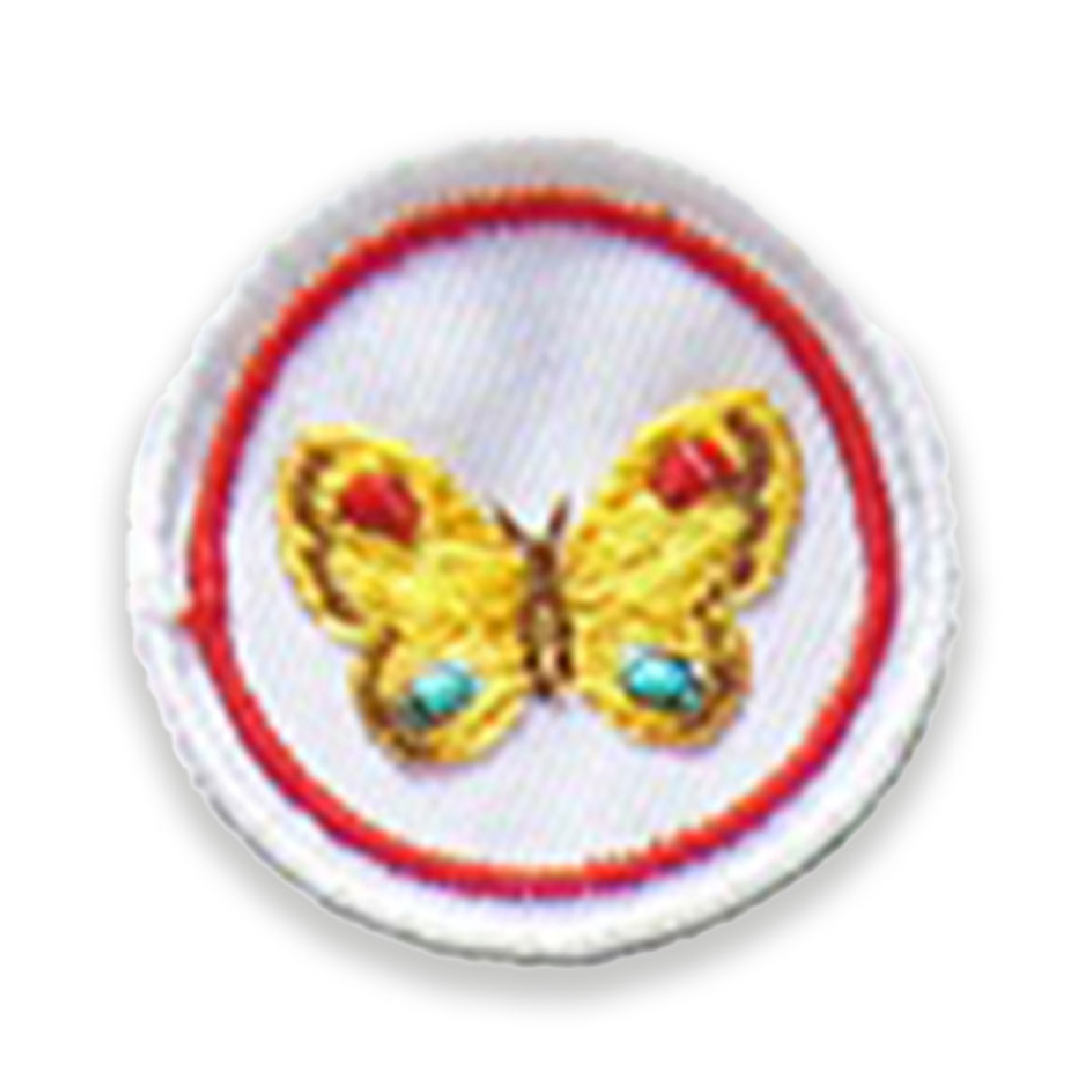 Farfalla