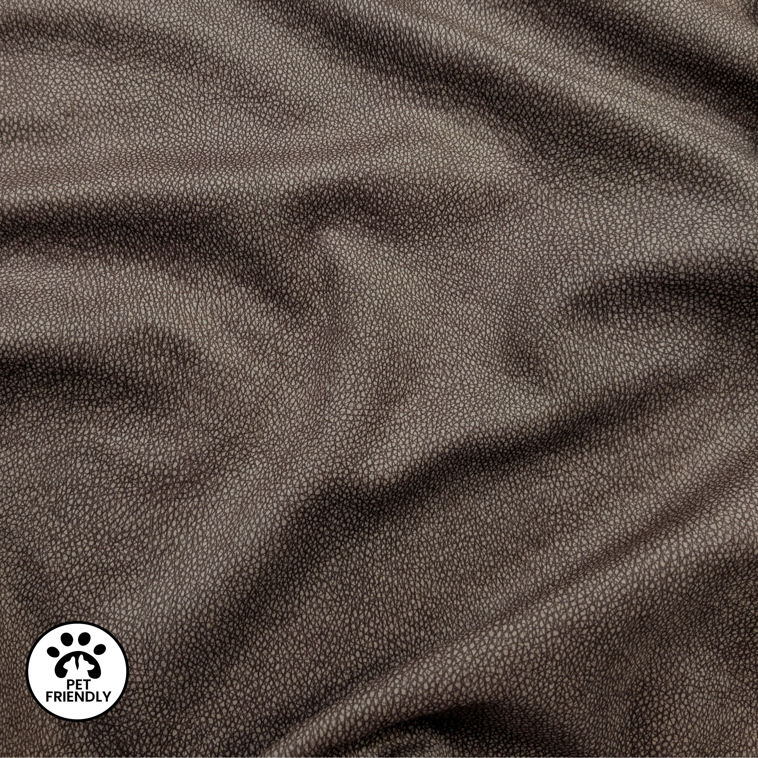 Arredo Tartarugato Pet Friendly Image