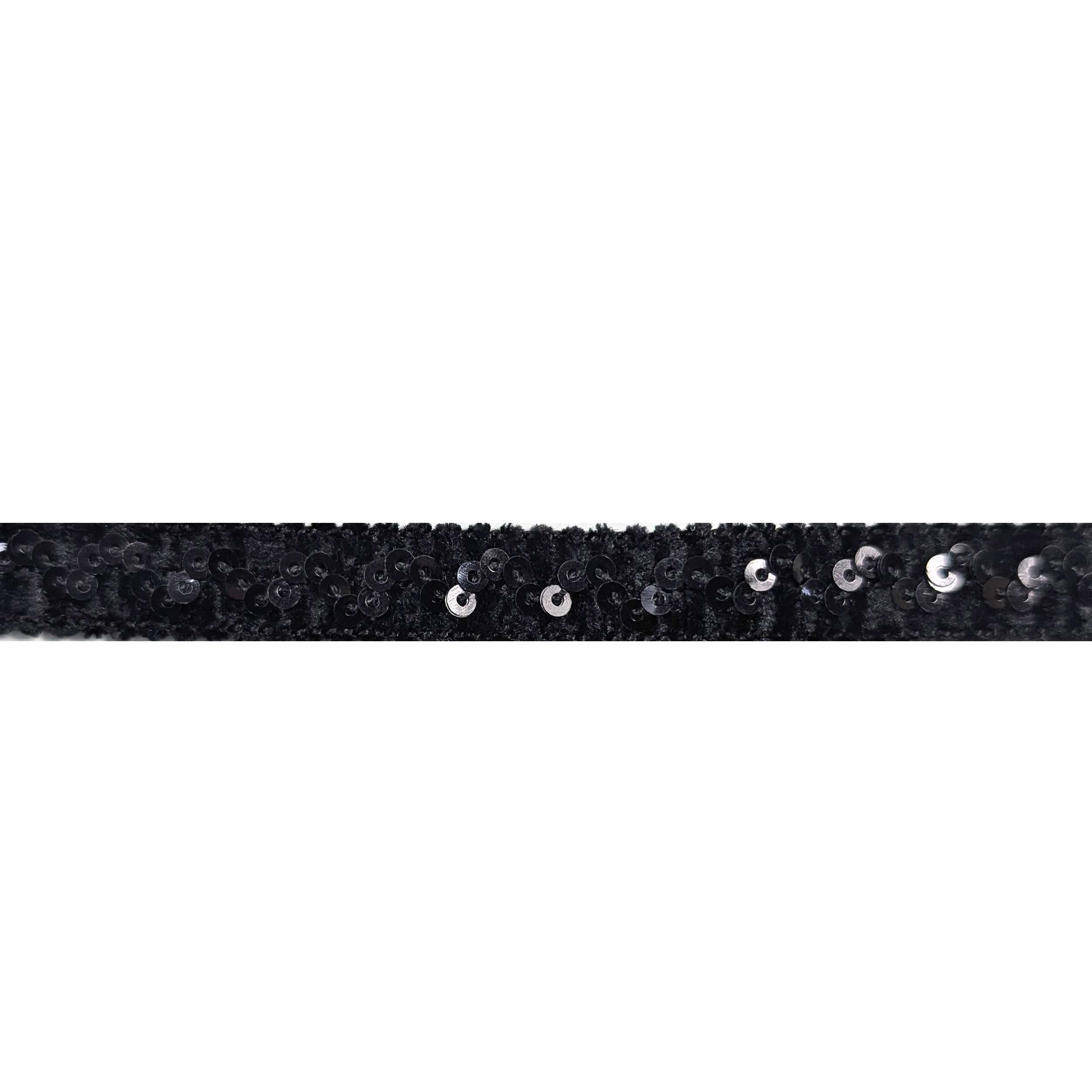 Passamaneria Nera con Paillettes Image