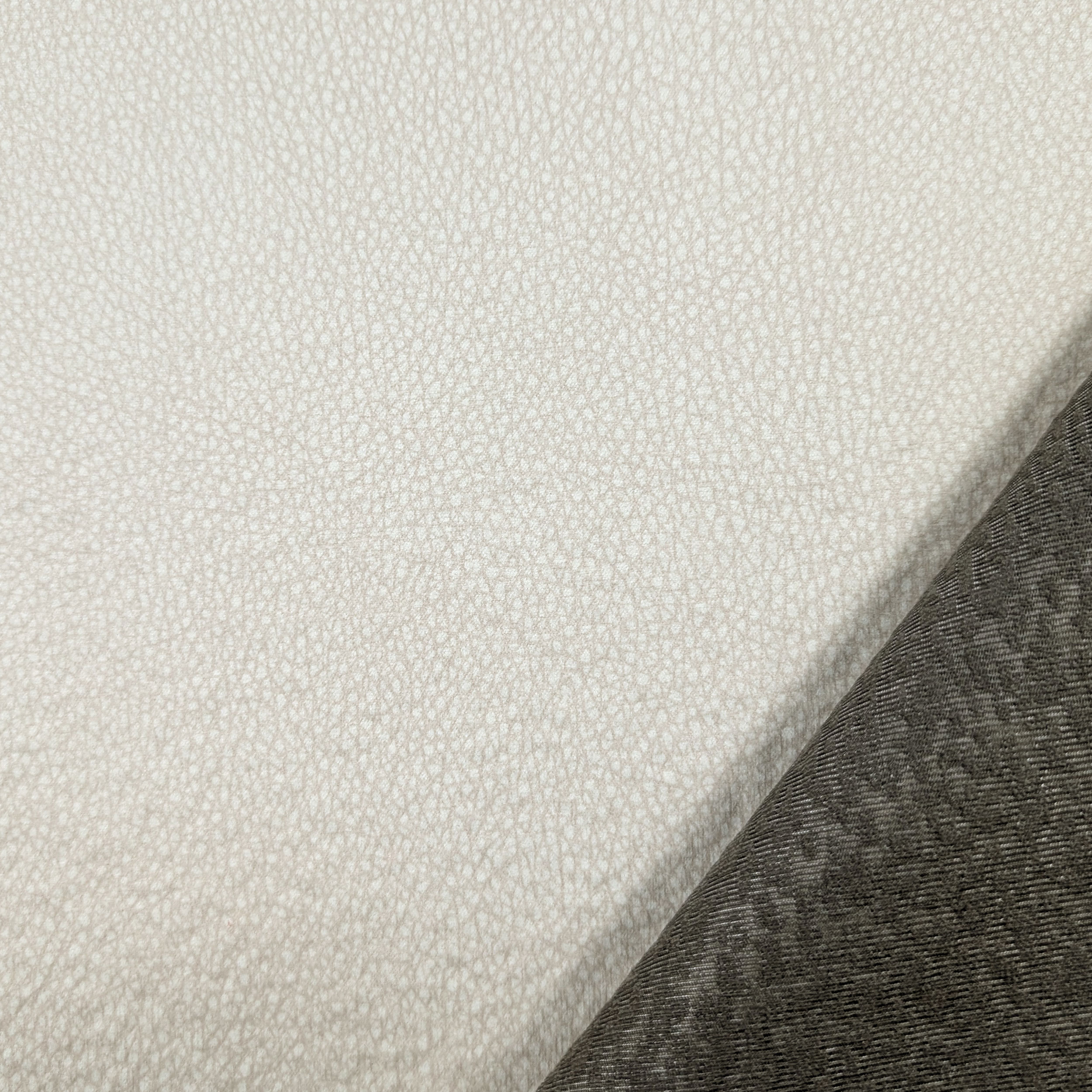 Arredo Tartarugato Pet Friendly Image