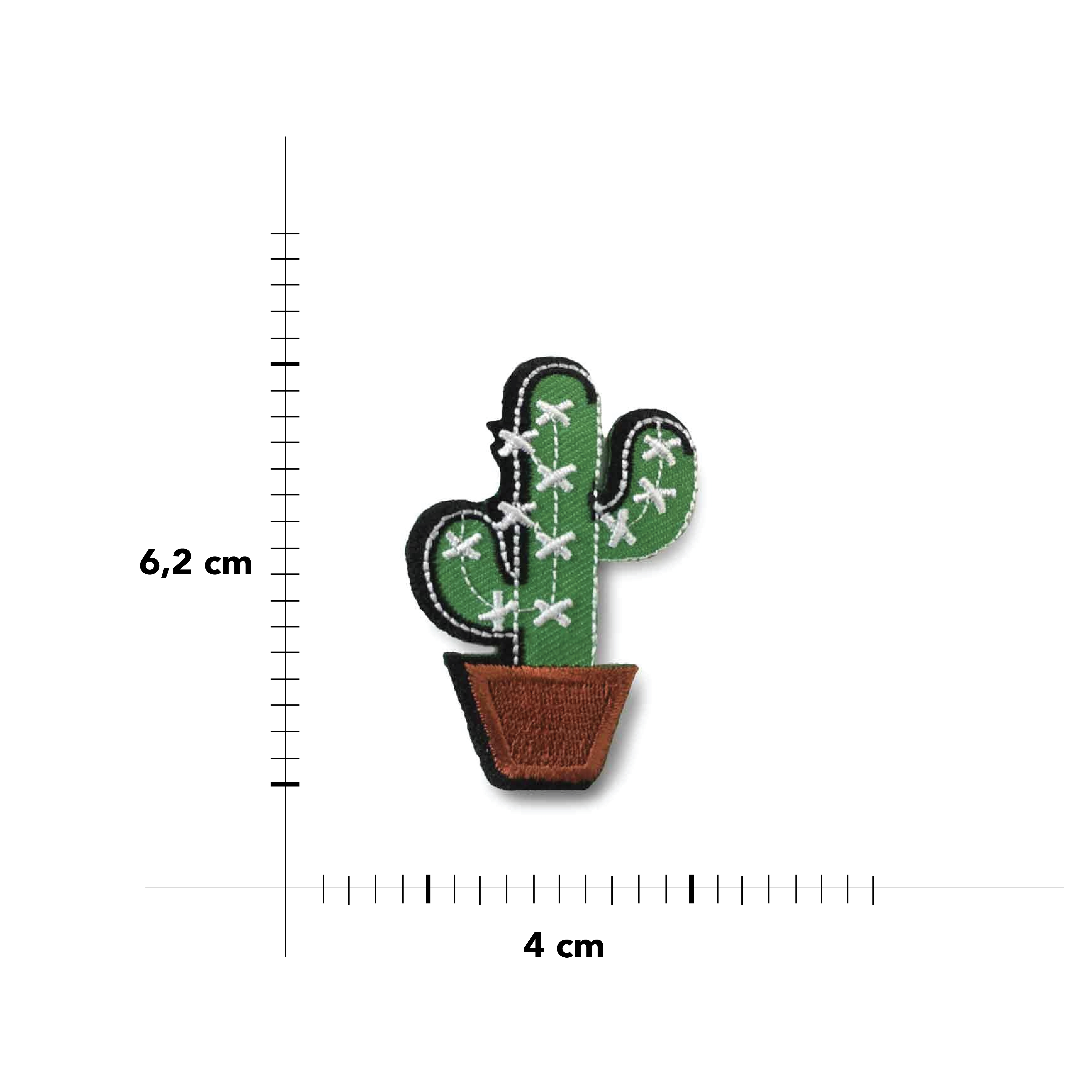  Applicazione Pianta Cactus Image