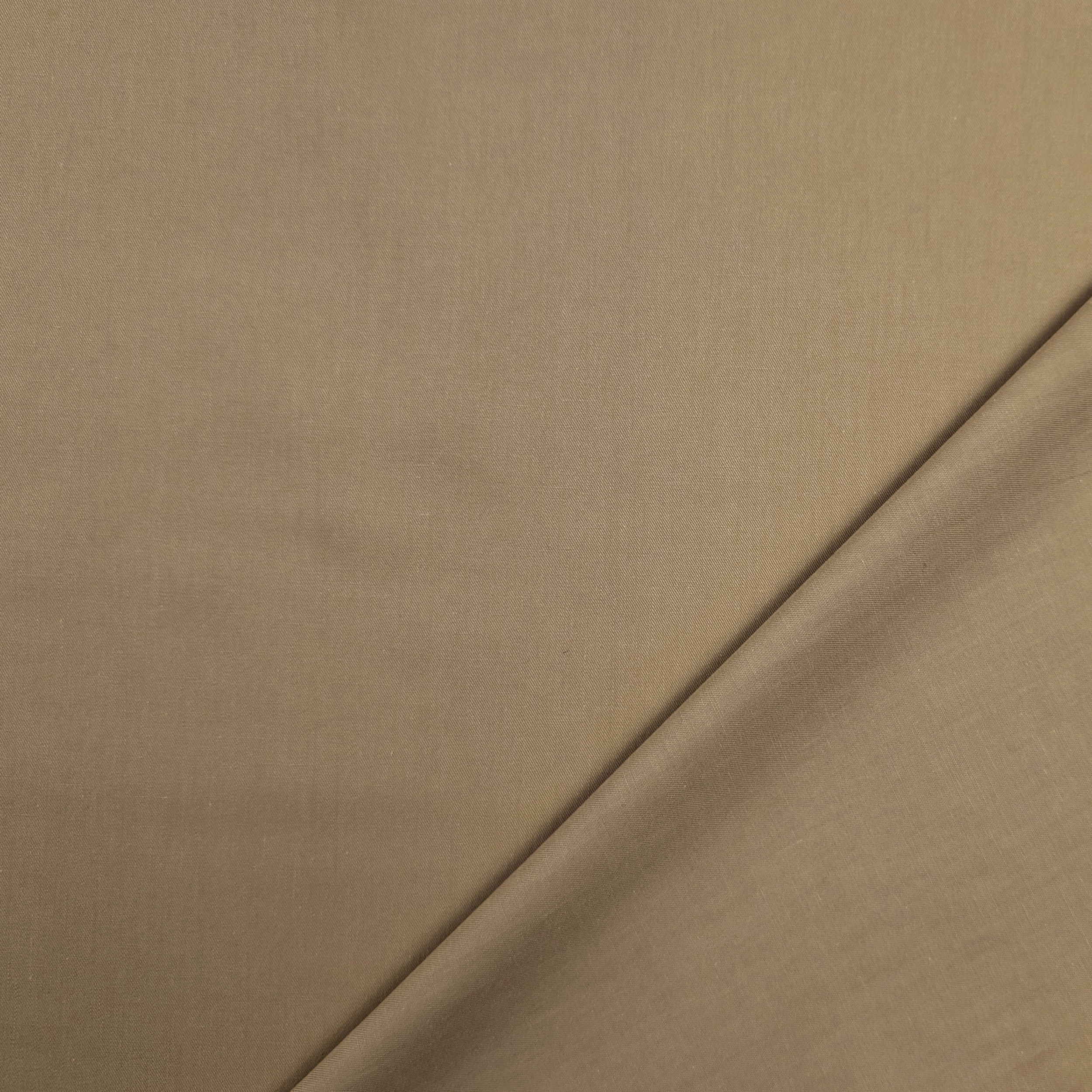 Cotone Beige Image