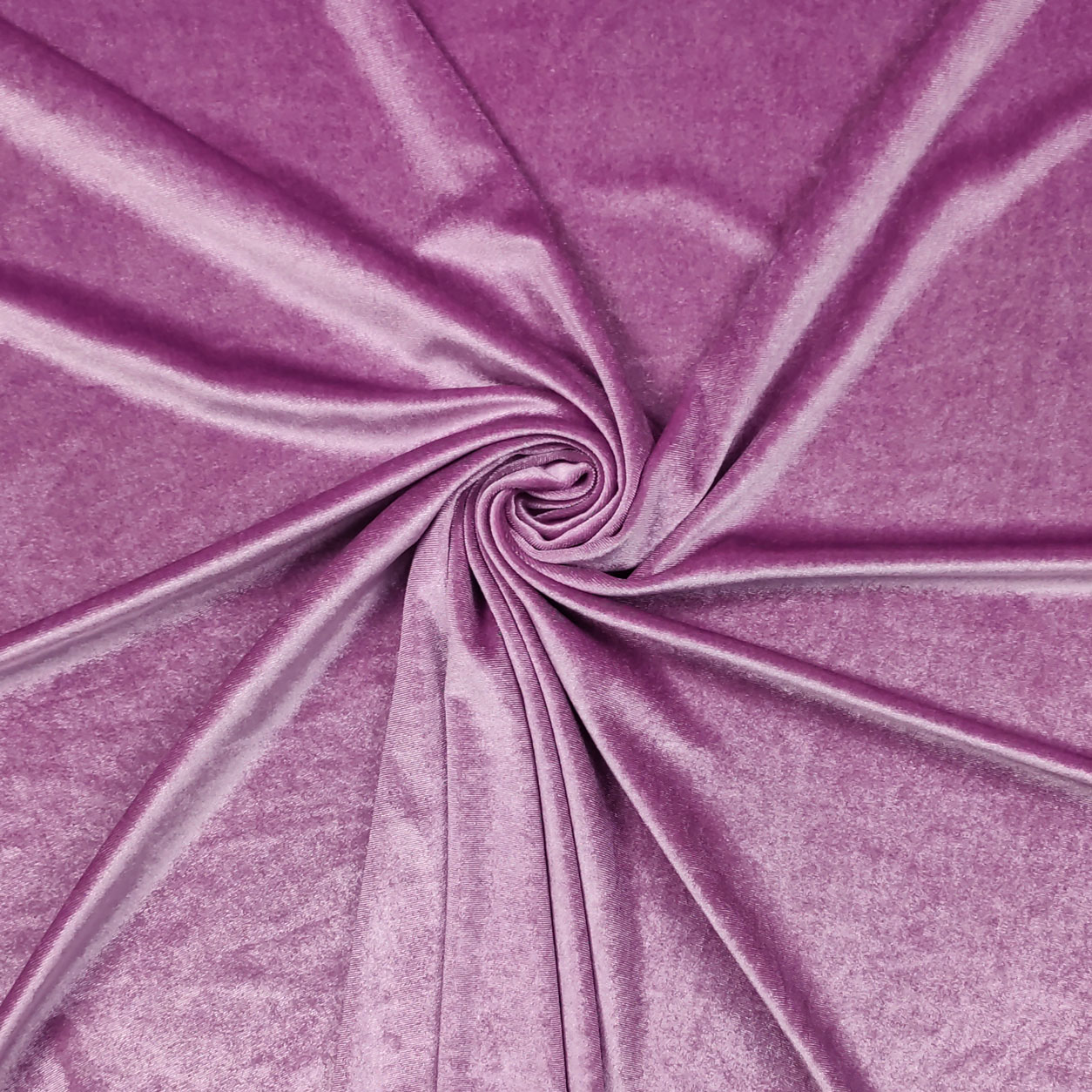 Vellutina Bielastica Image