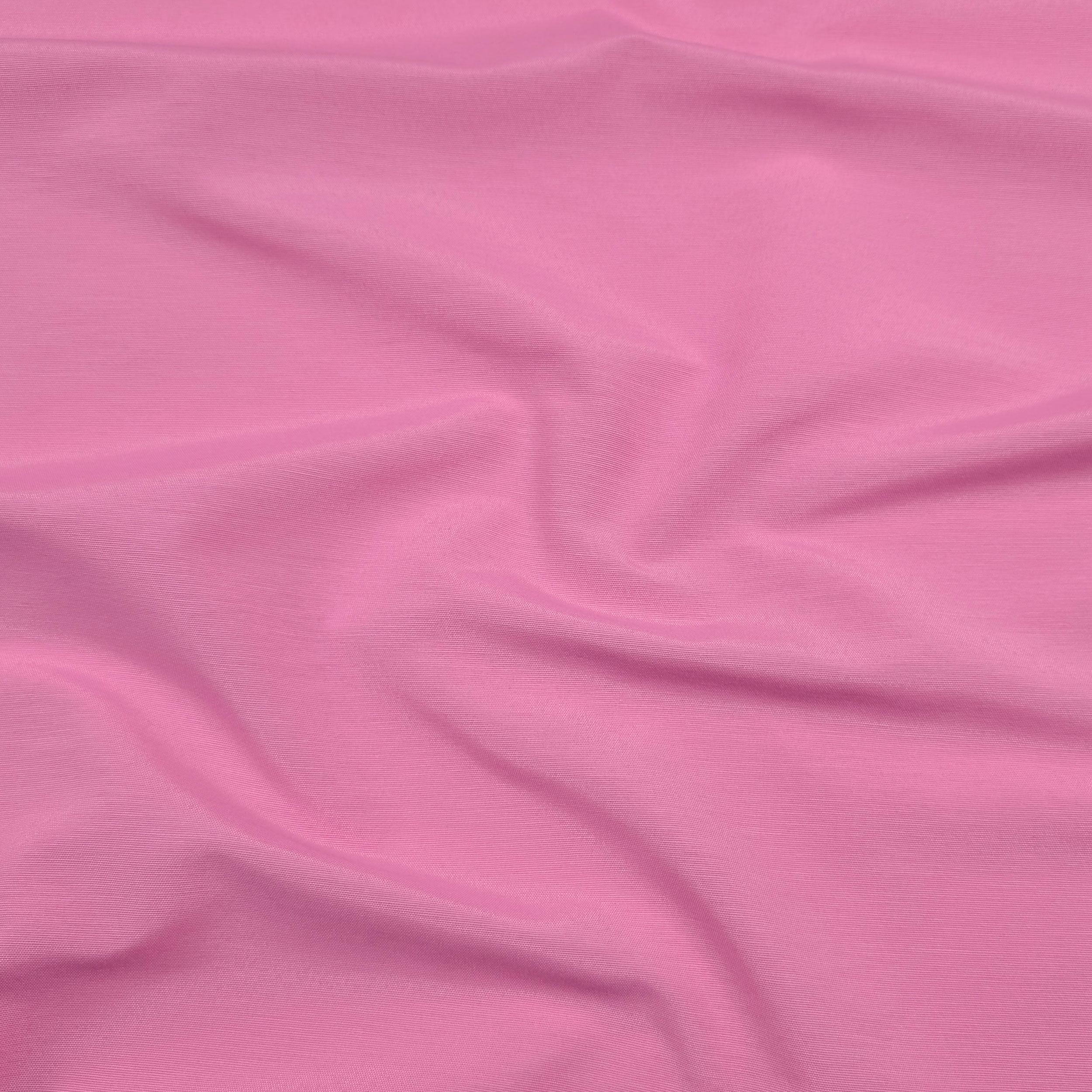 Rosa - 305