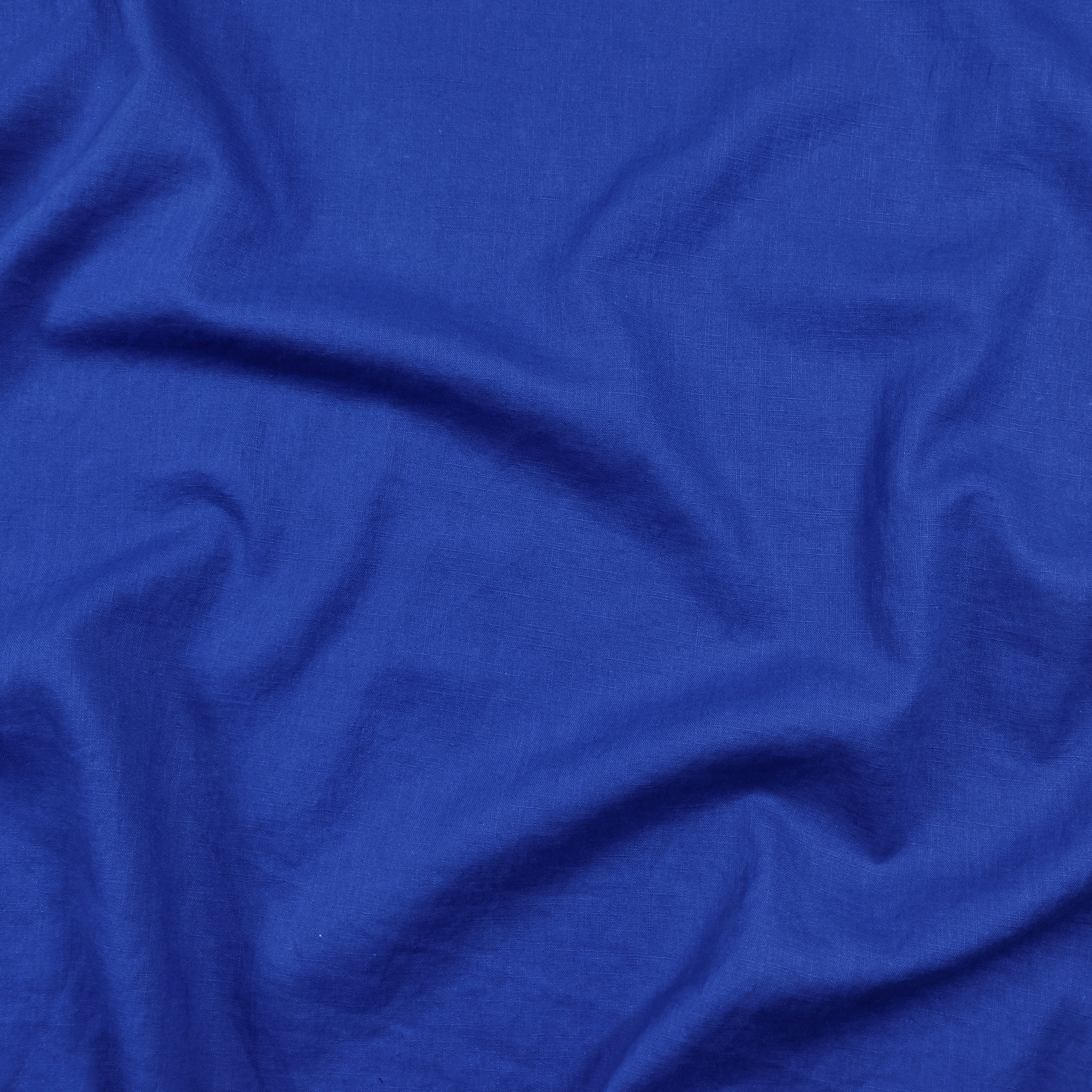 Bluette - 2423