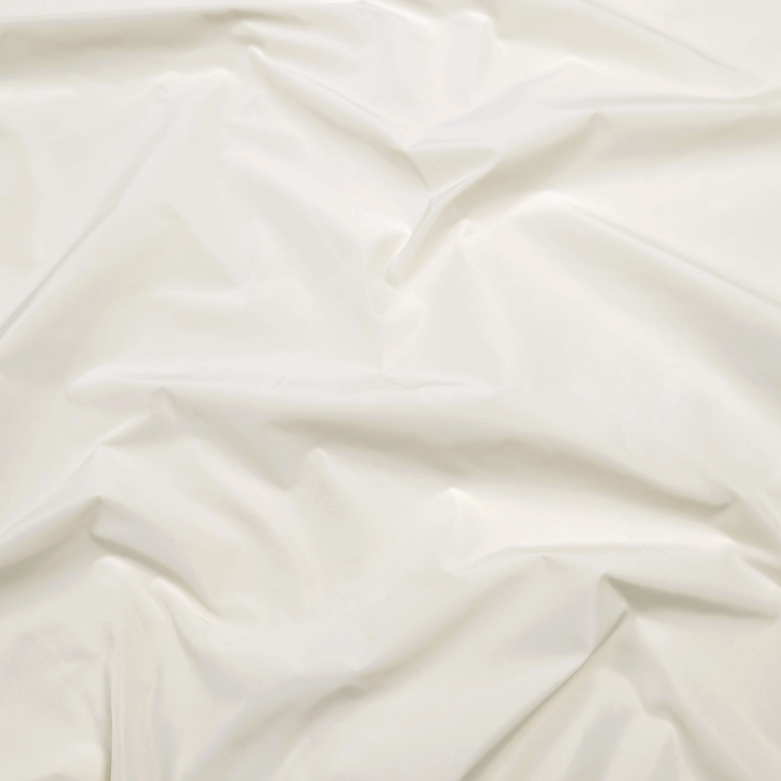 Bianco Latte - 2