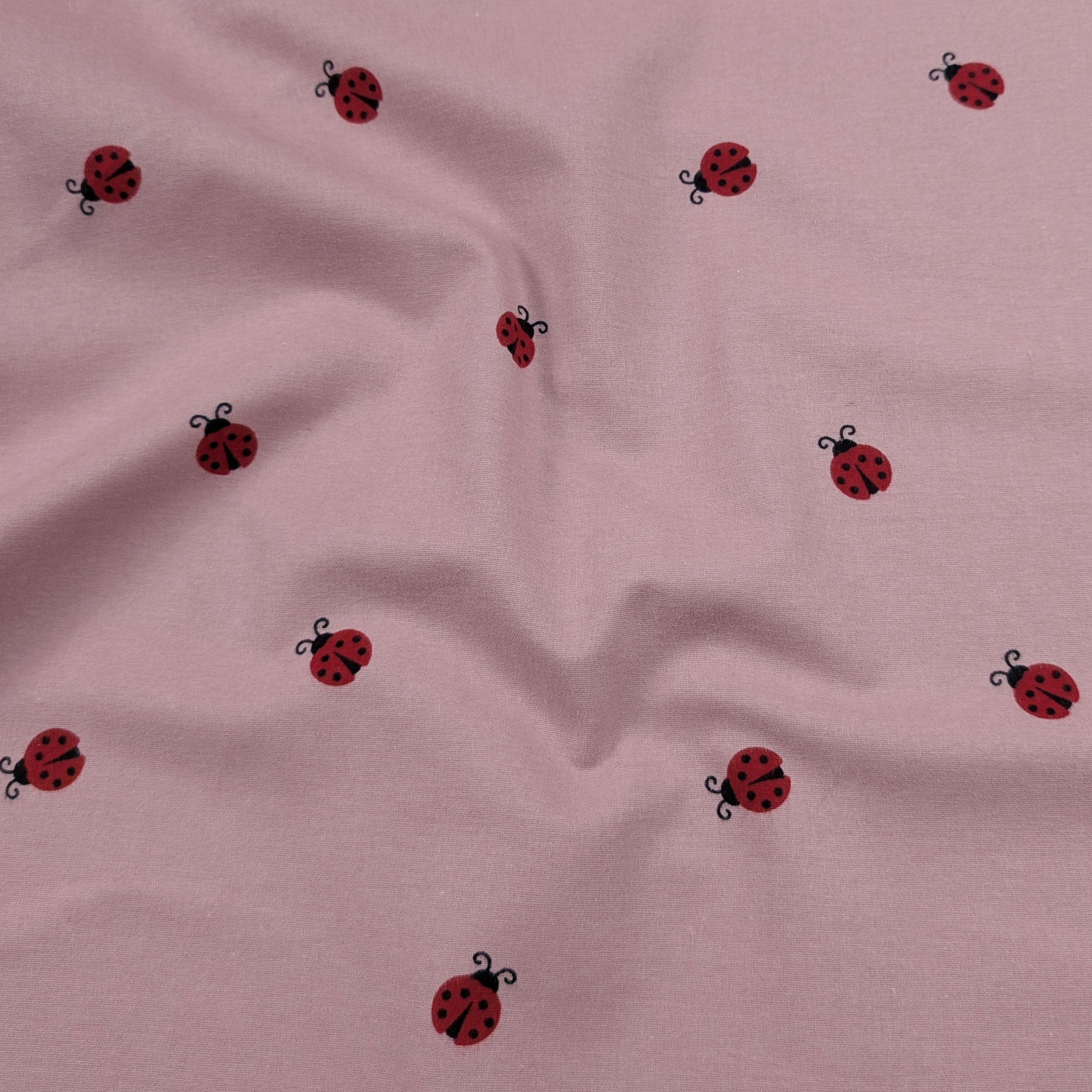 Flanella di Cotone Coccinelle Image