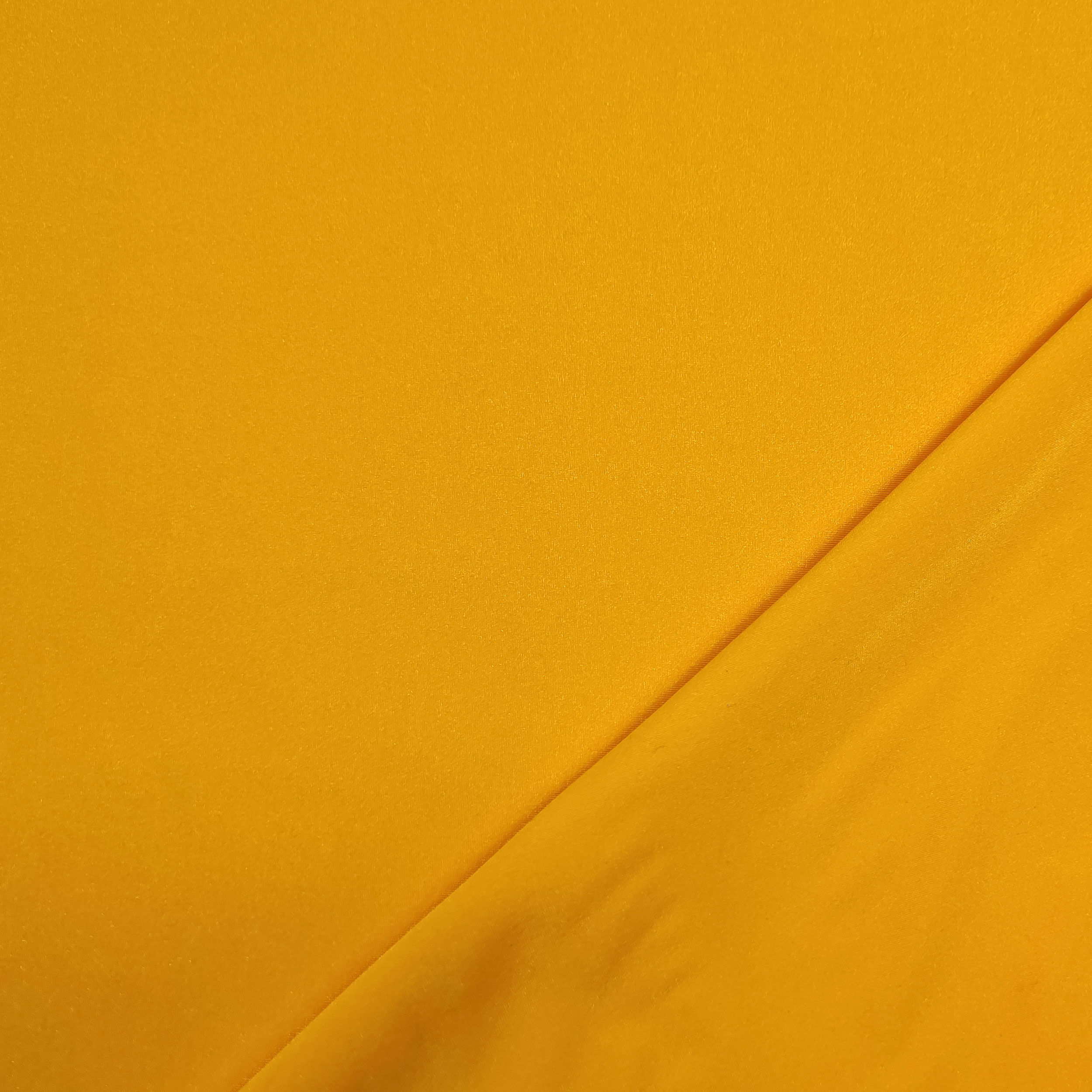 Lycra Image