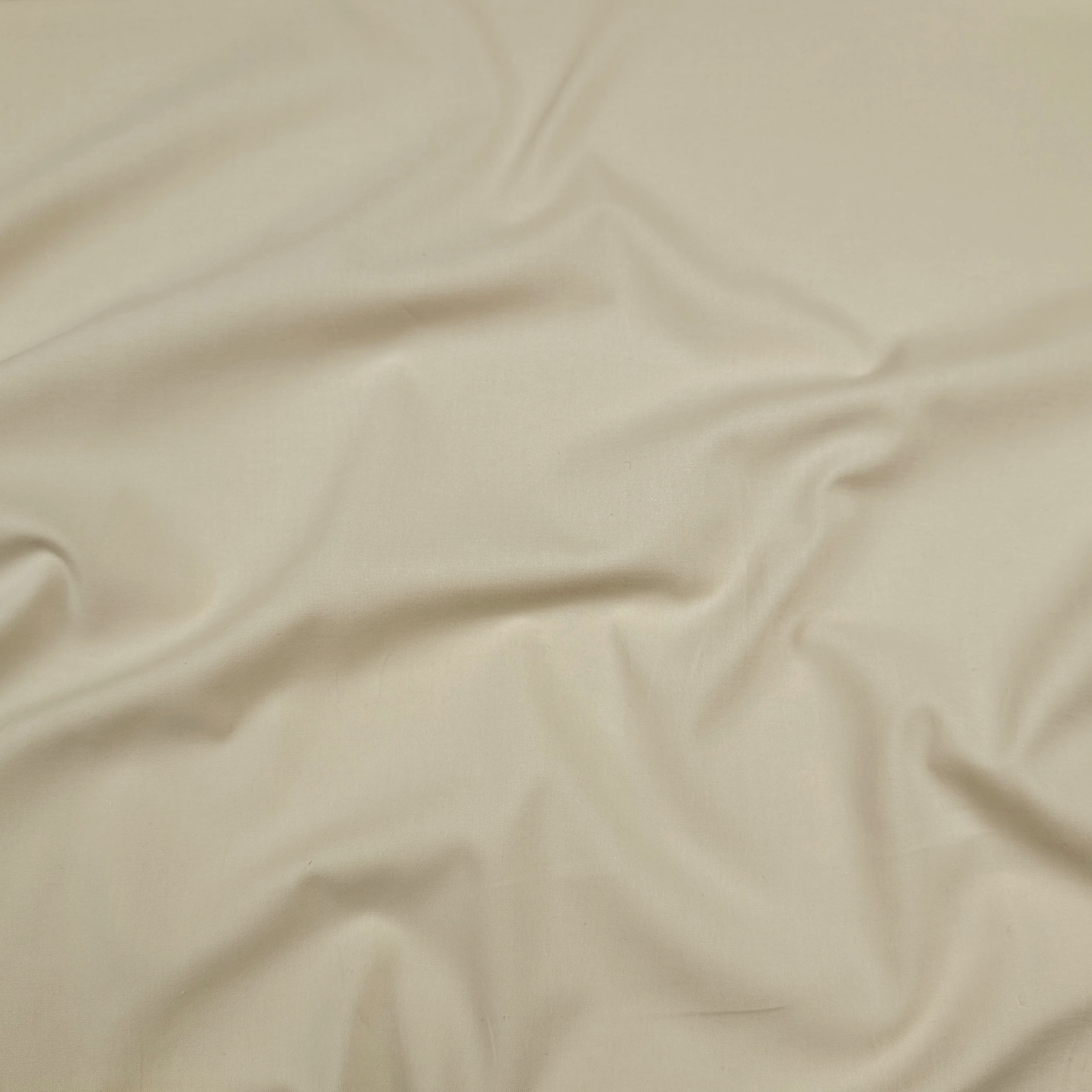 Cotone Beige Chiaro Image