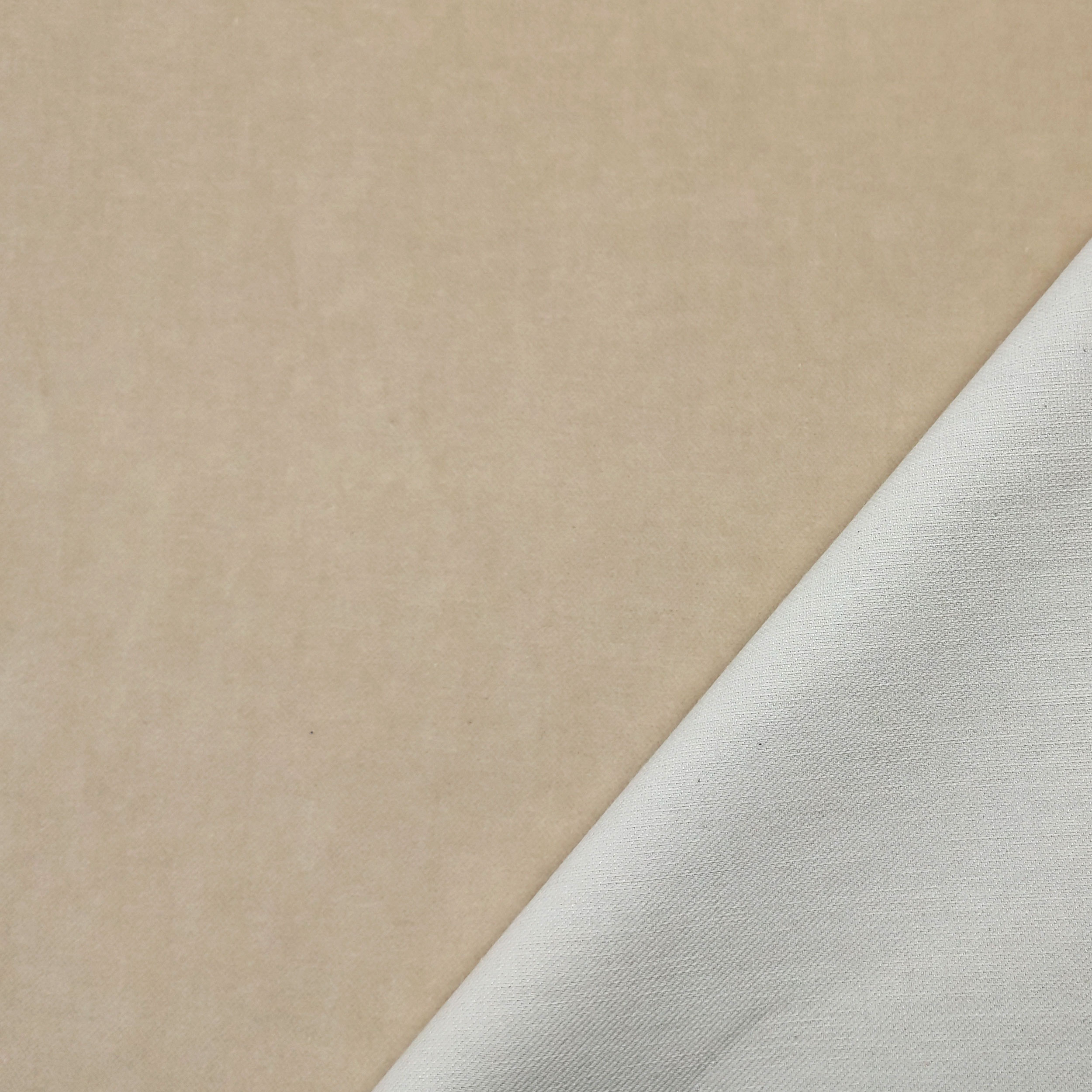 Velluto di Cotone Tinta Unita Beige