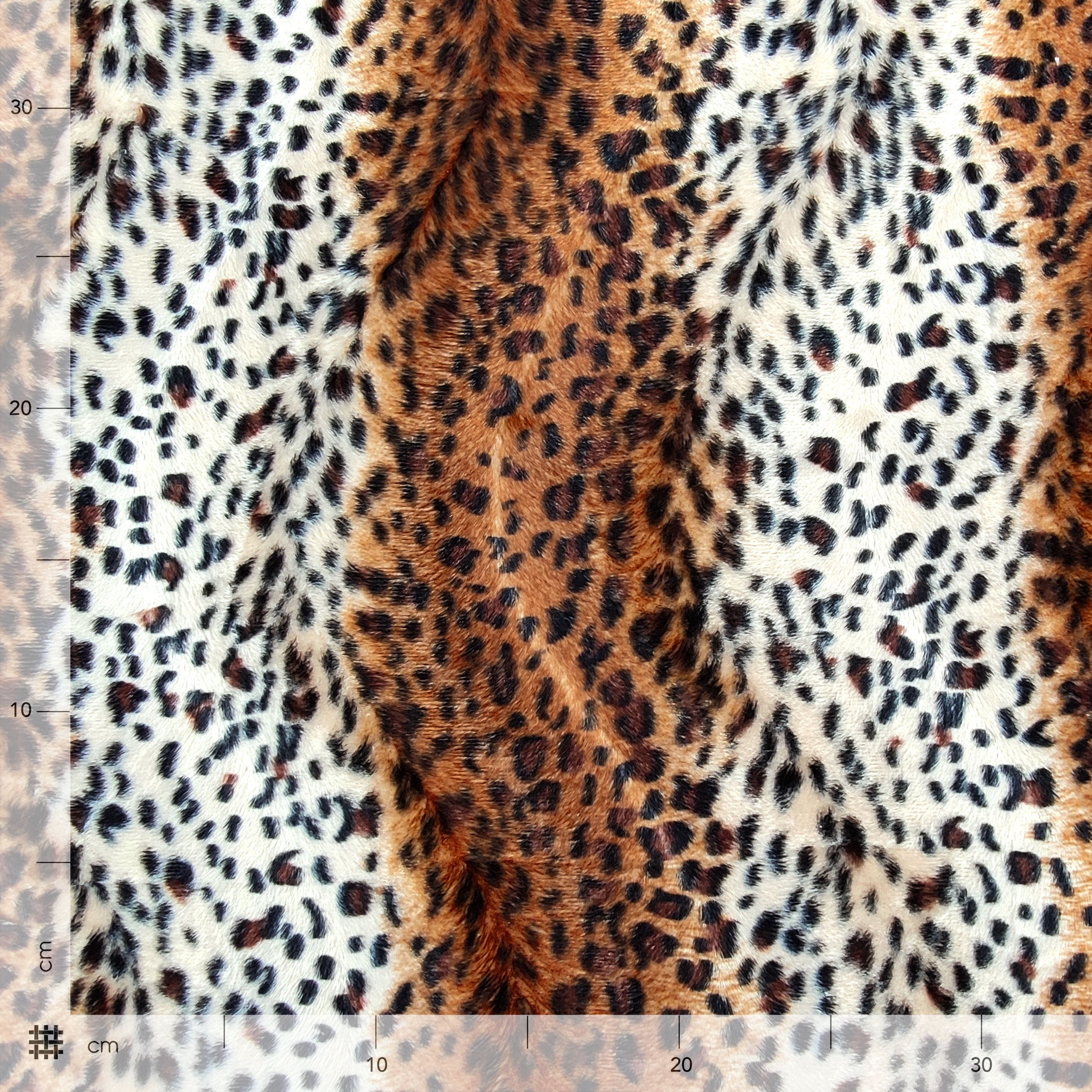 Cavallino Leopardato