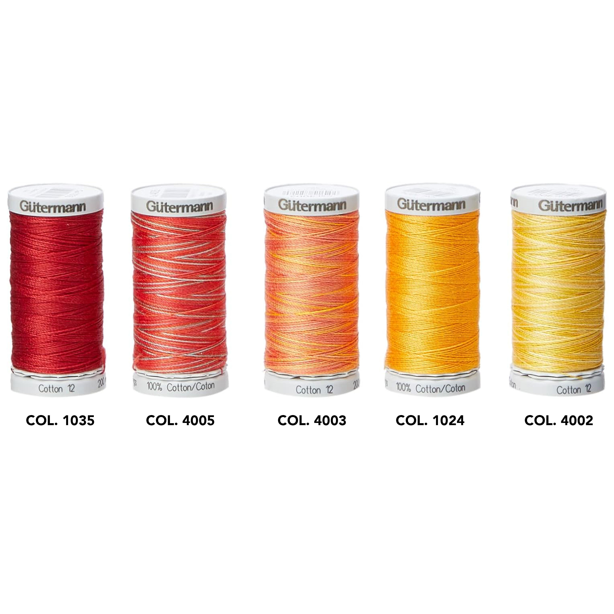 Gutermann Filo Cotone 200 m 5 Bobine Toni Gialli