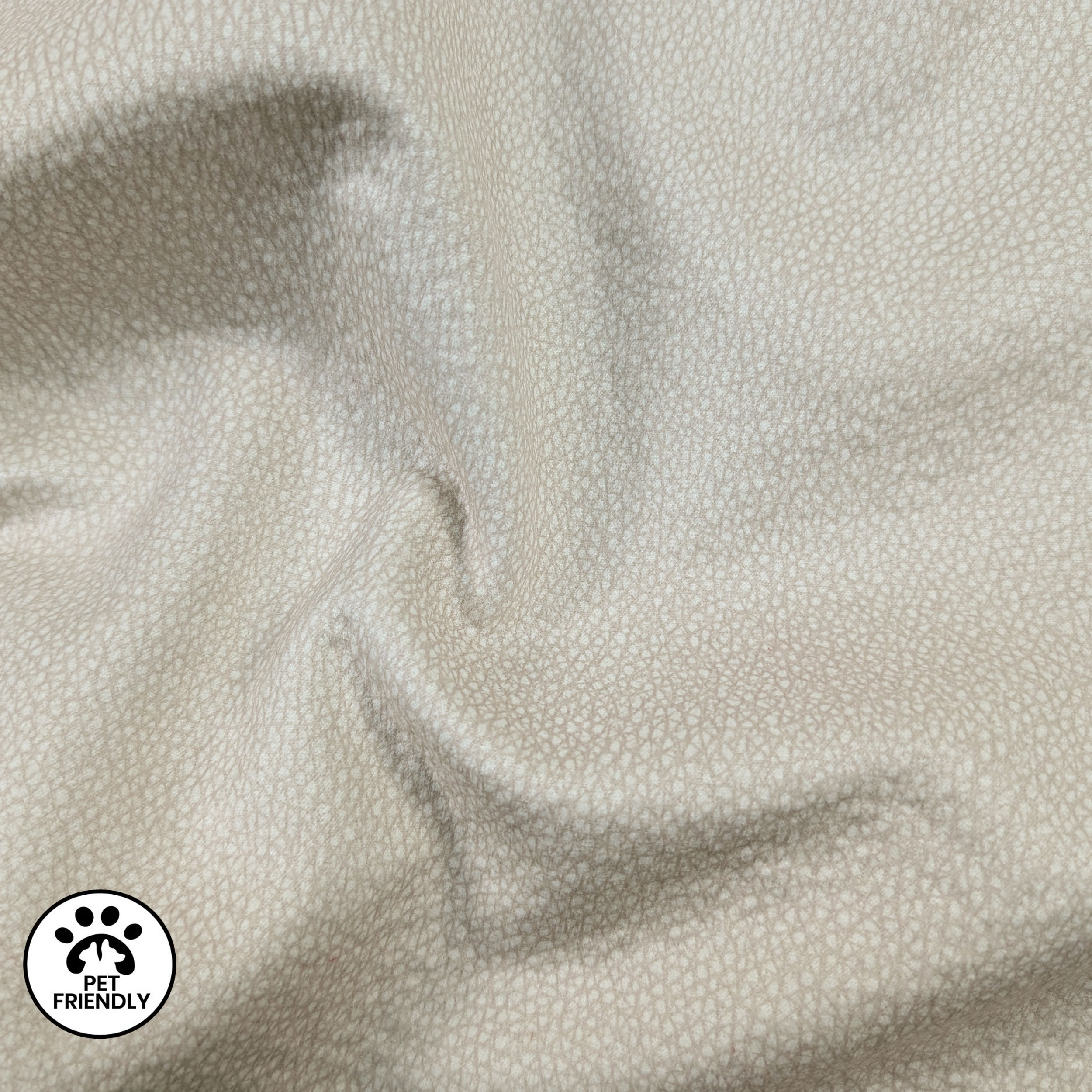 Arredo Tartarugato Pet Friendly Image