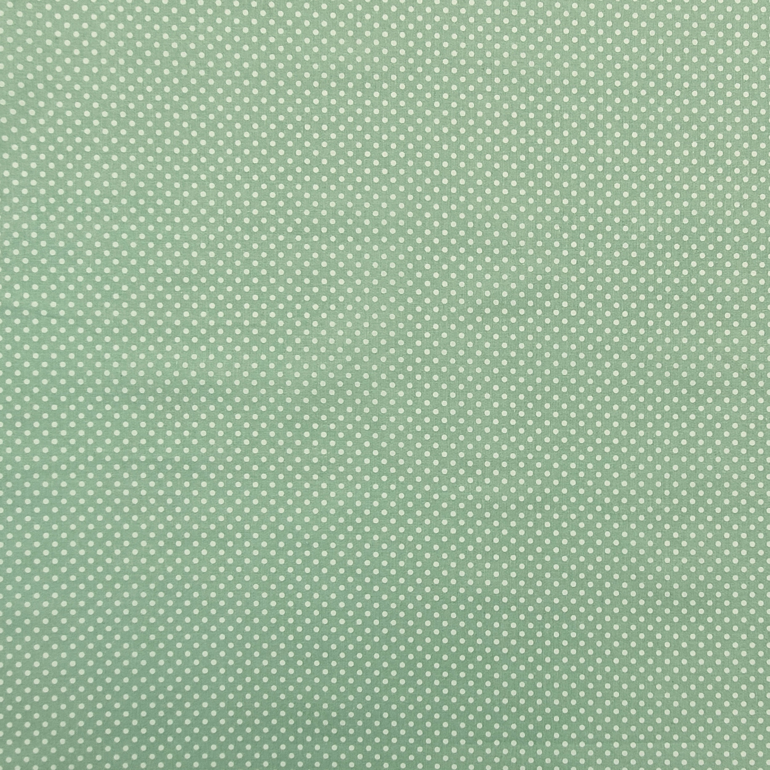 Tessuto Cotone Menta Pois Bianchi Image