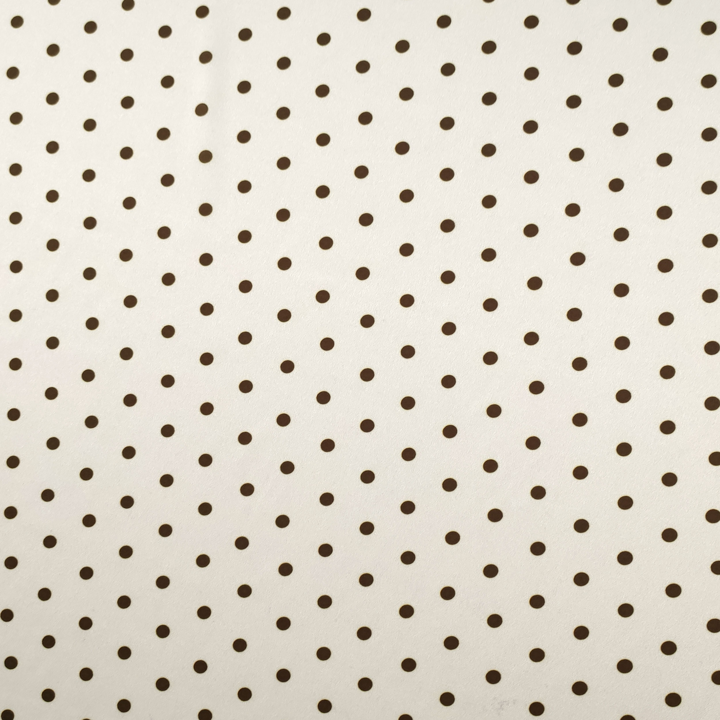 Rasetto Elasticizzato Setato Alta Moda Pois Sfondo Panna