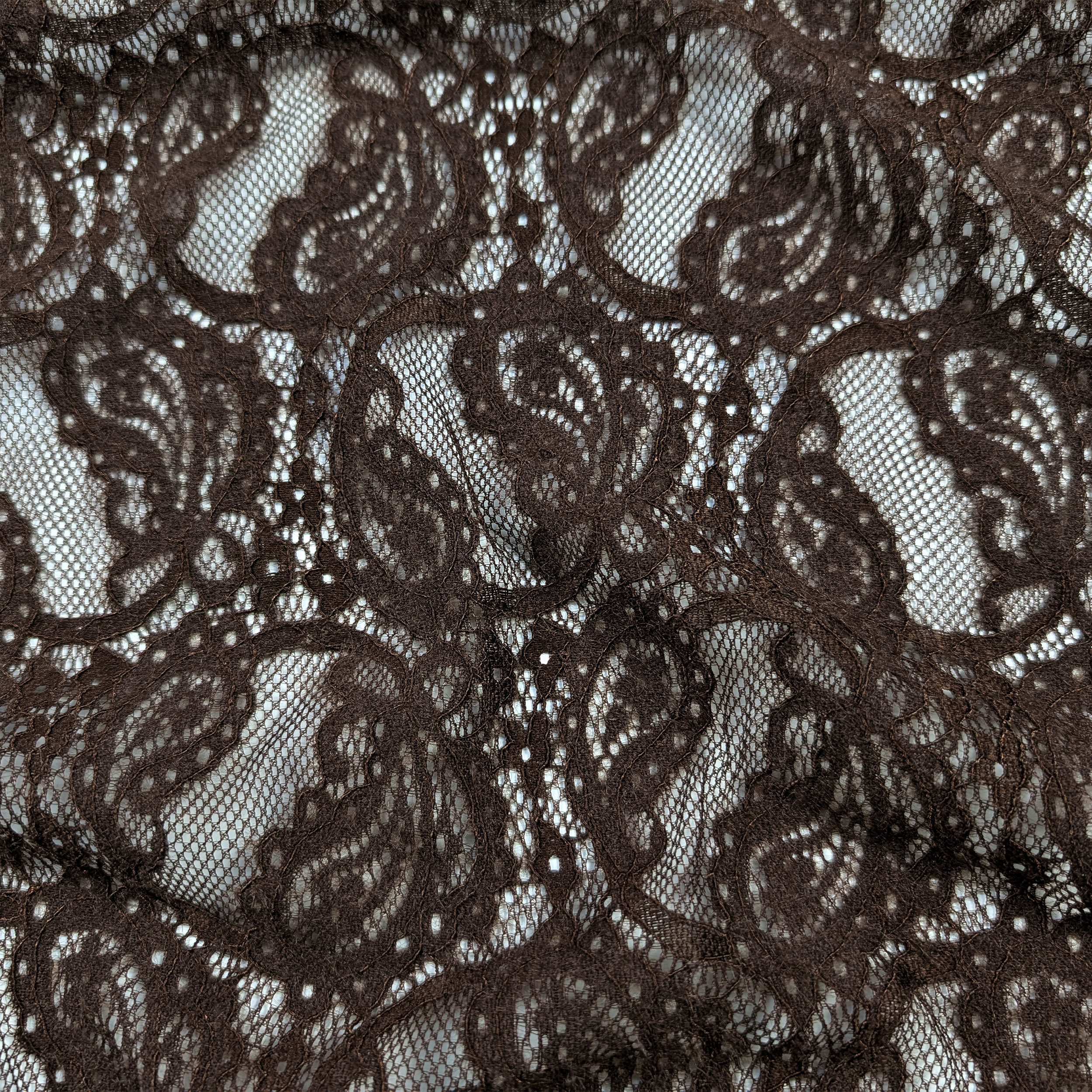 Pizzo Doppio Bordo Bielastico Marrone Image