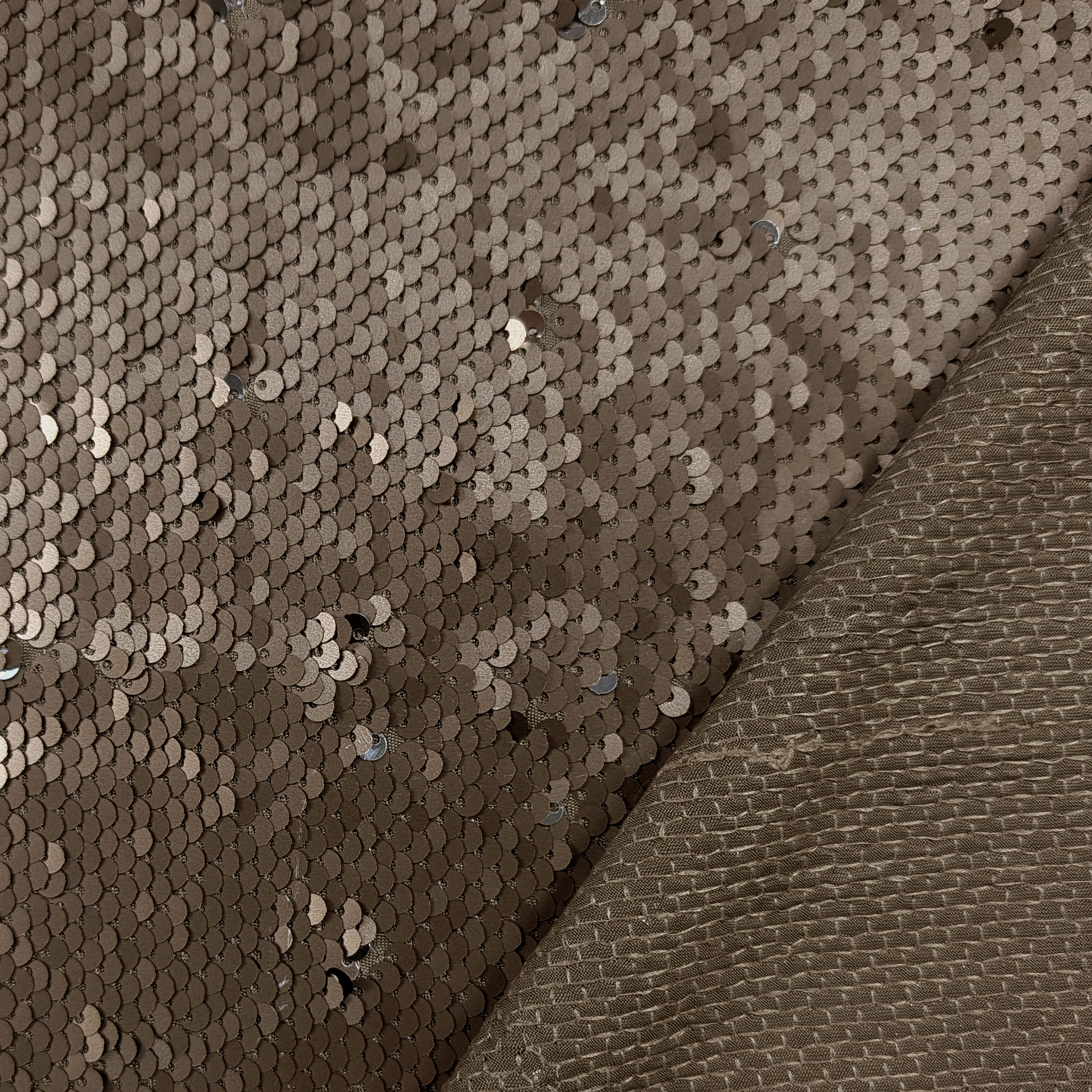 Paillettes Bronzo Scriventi Argento Image