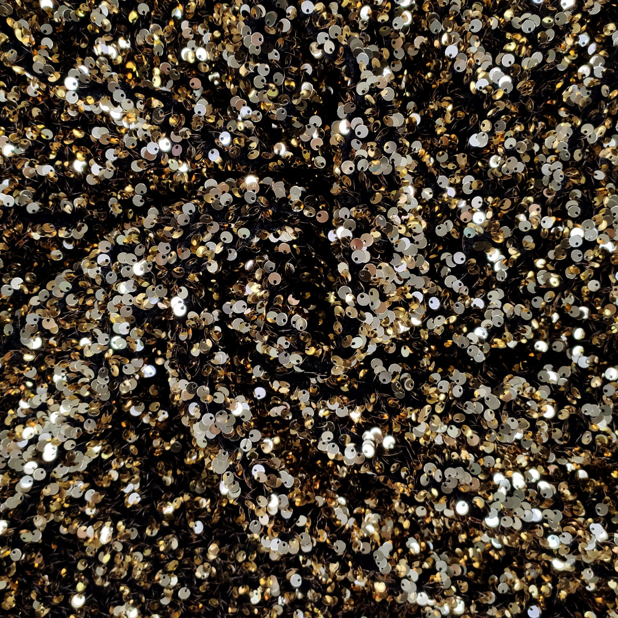 vellutina-paillettes-oro