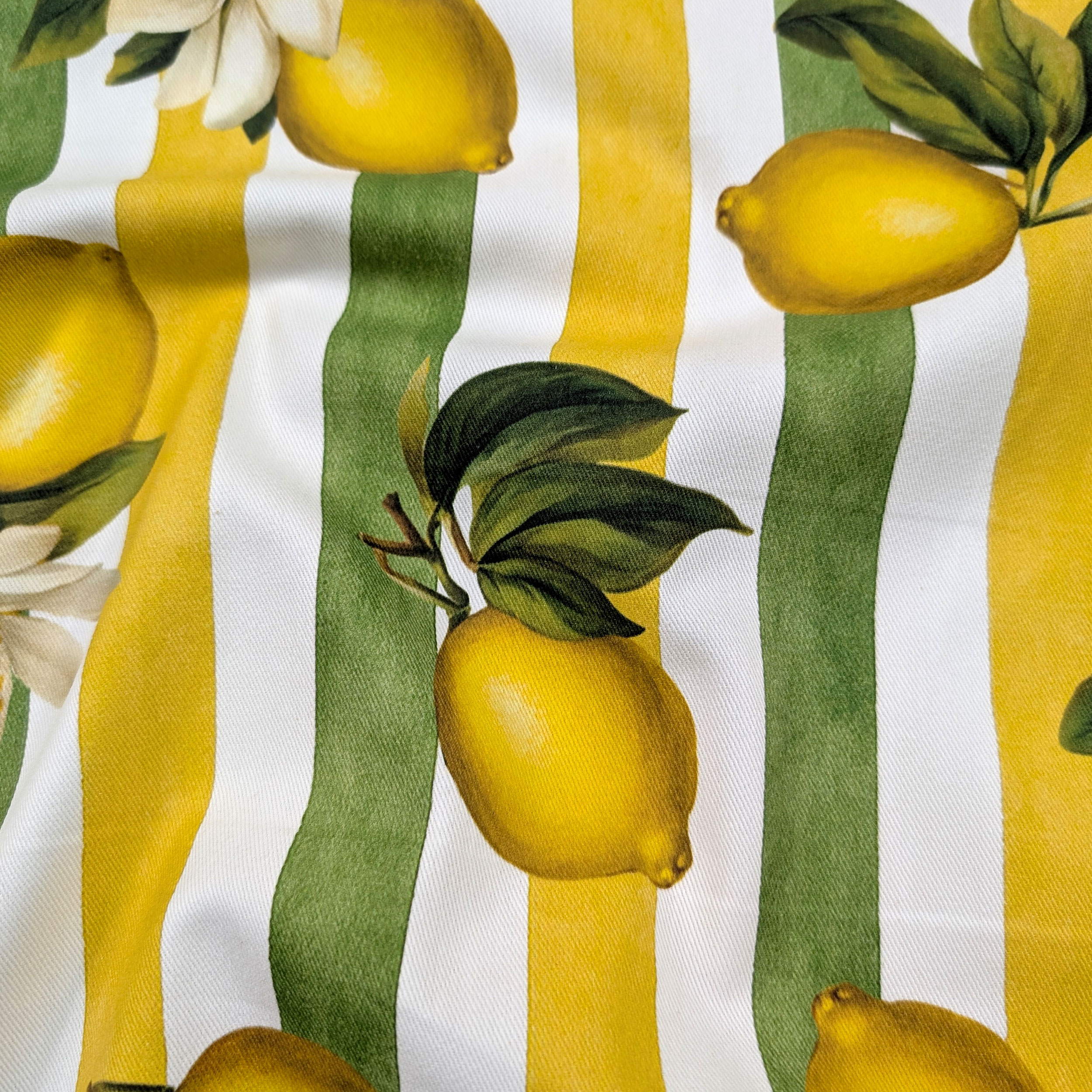 Ritaglio Panama Limoni e Righe Estive 100x160 cm Image