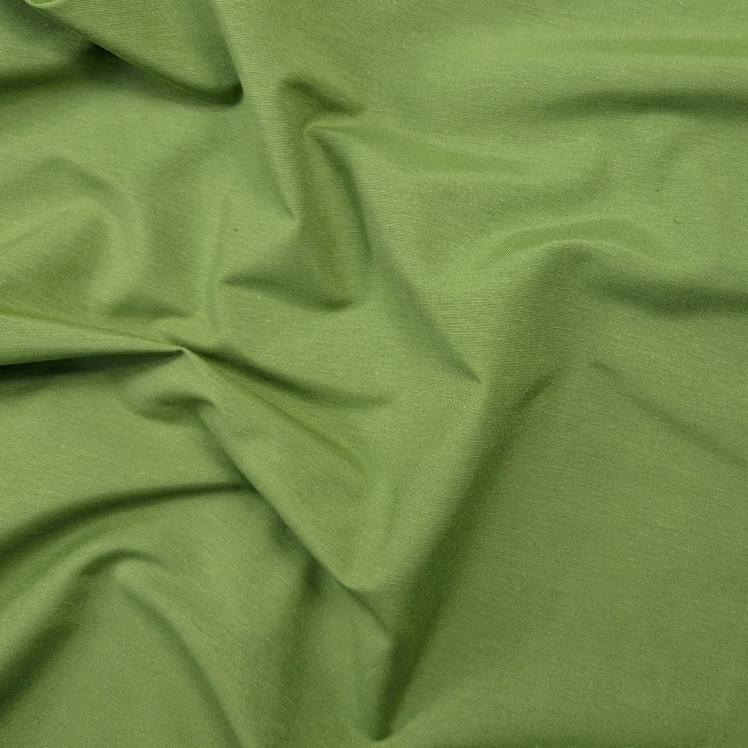 Misto Cotone in Tinta Unita Verde Image