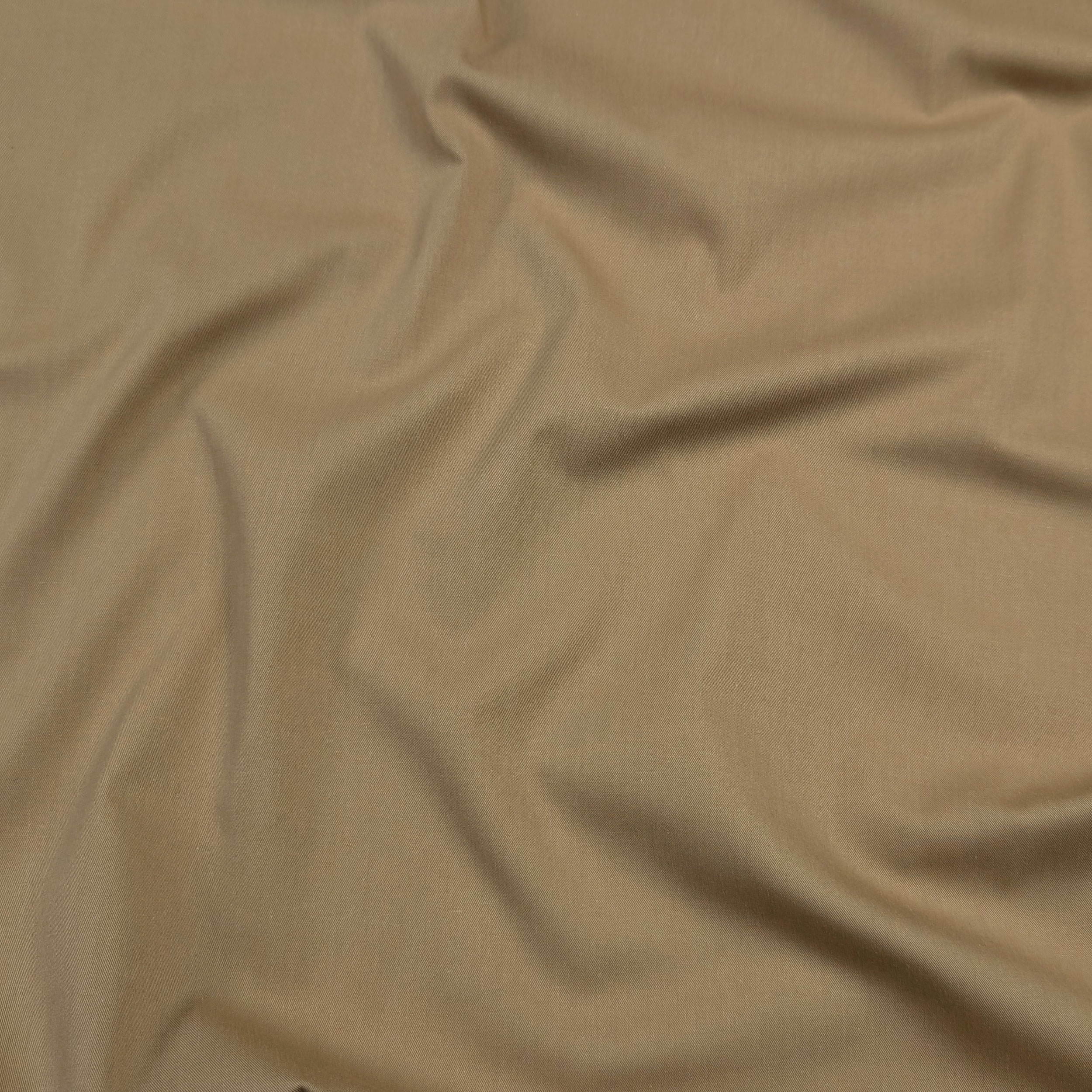 Cotone Beige Image