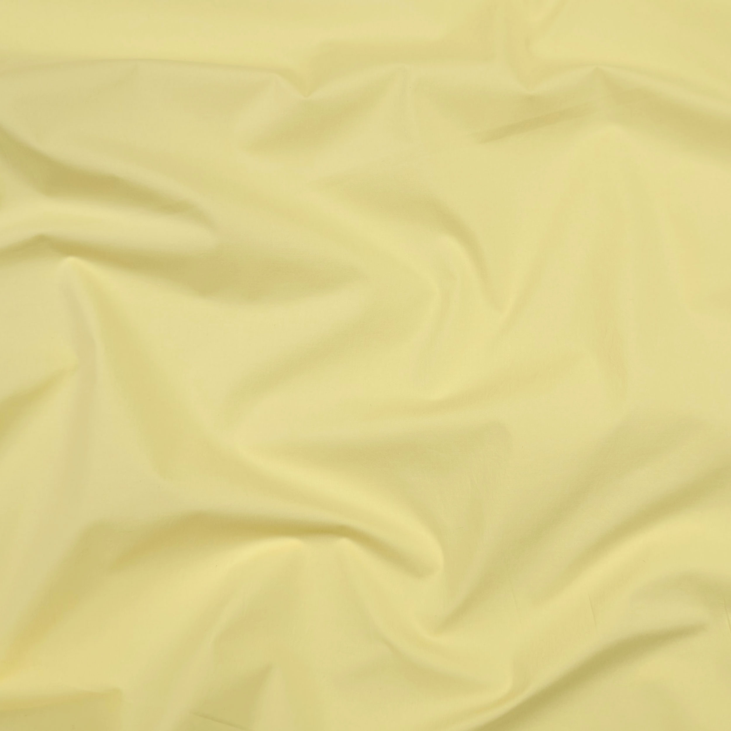 Cotone Giallino Image