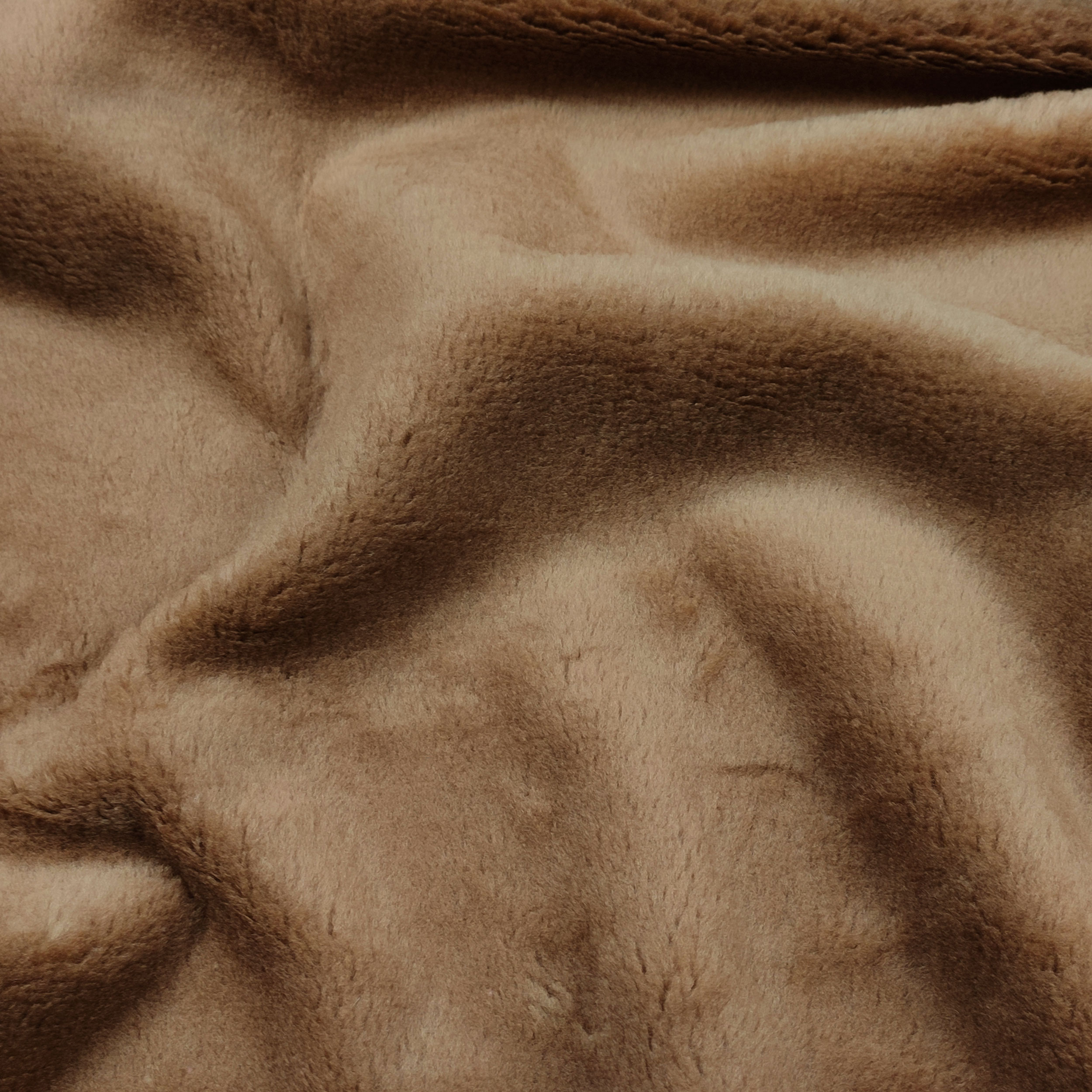 Montone Cammello