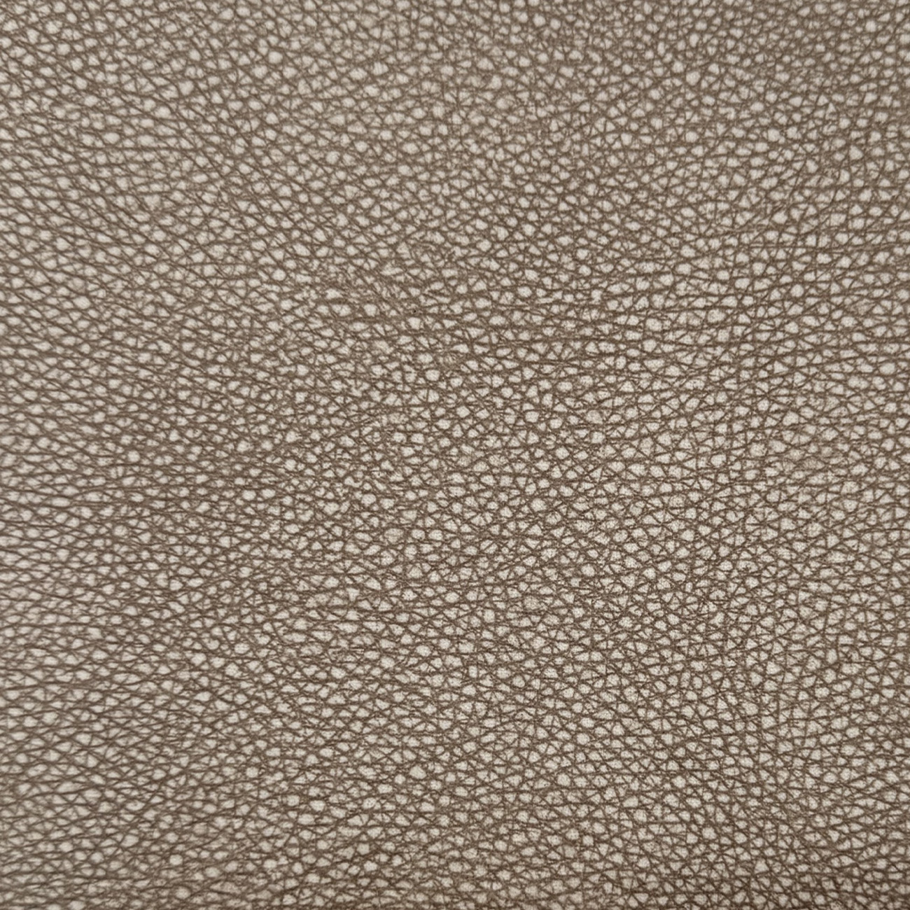 Beige - 02