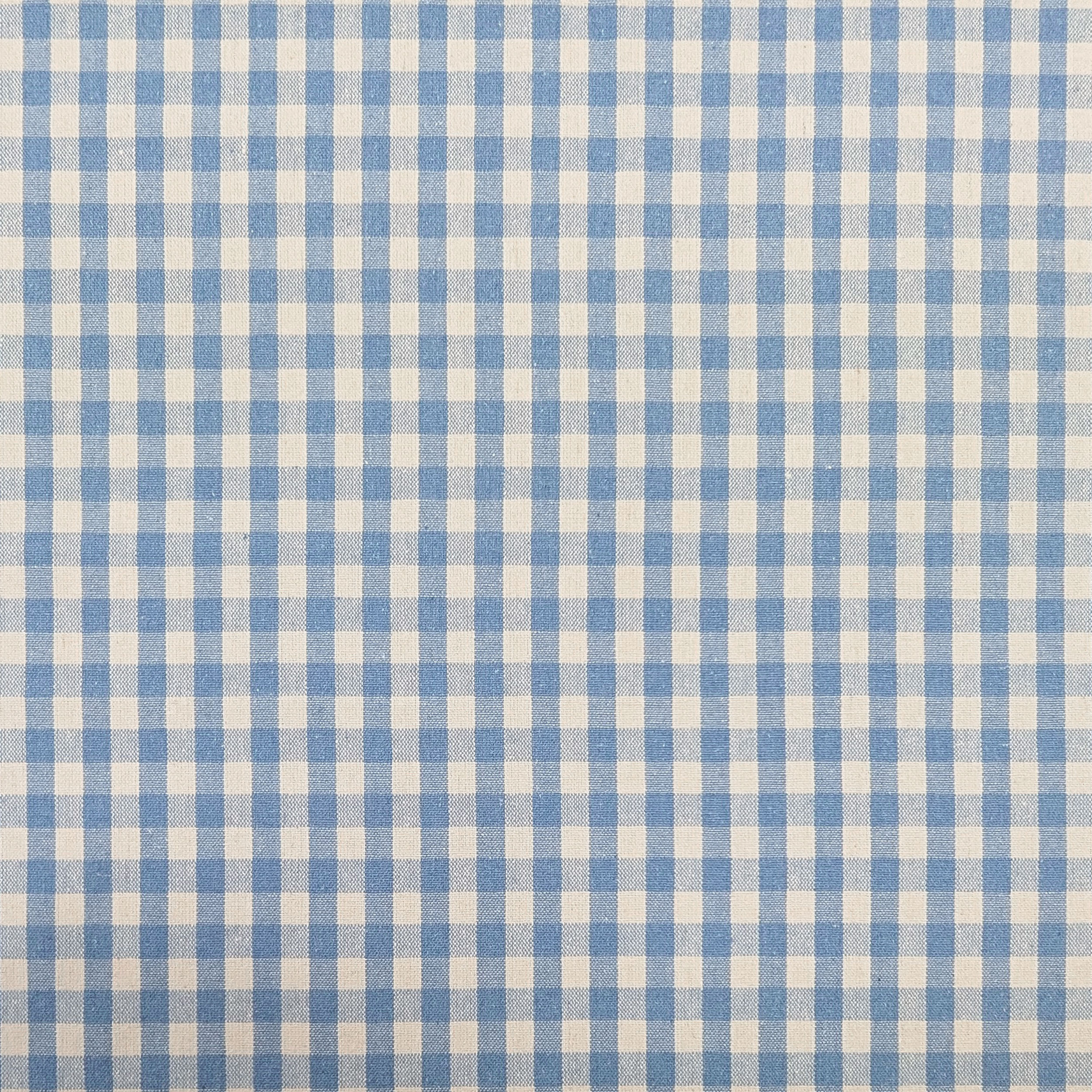 Cotone Lavato Tinto in Filo Quadretti Azzurri Image