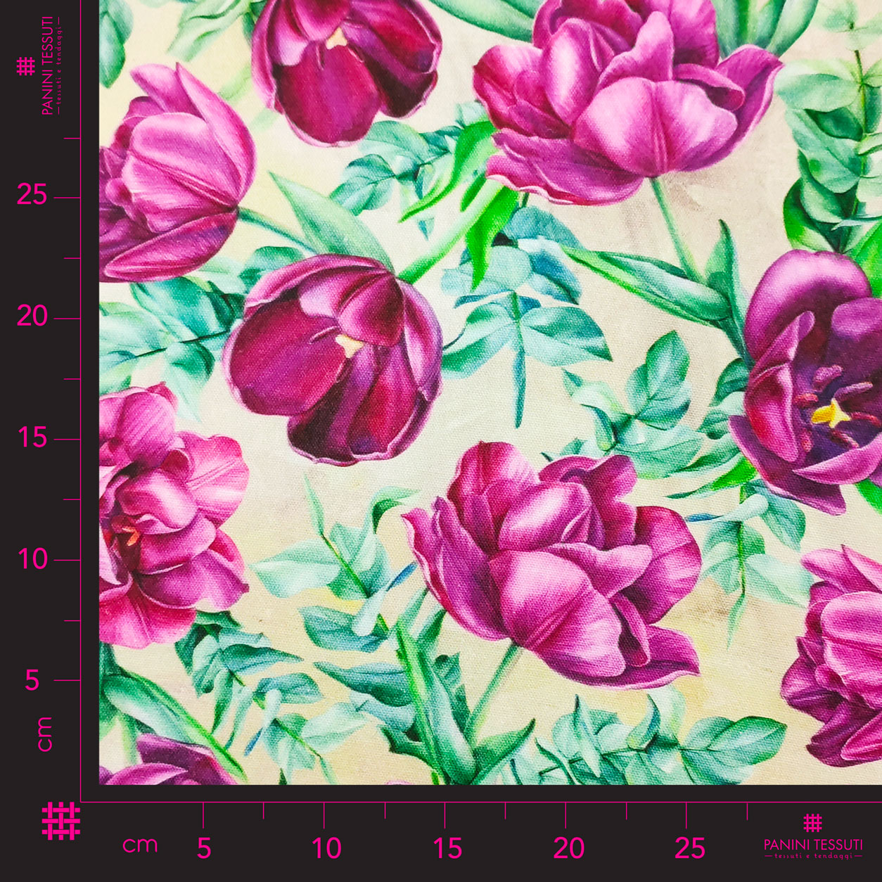 panama-online-con-tulipani-viola