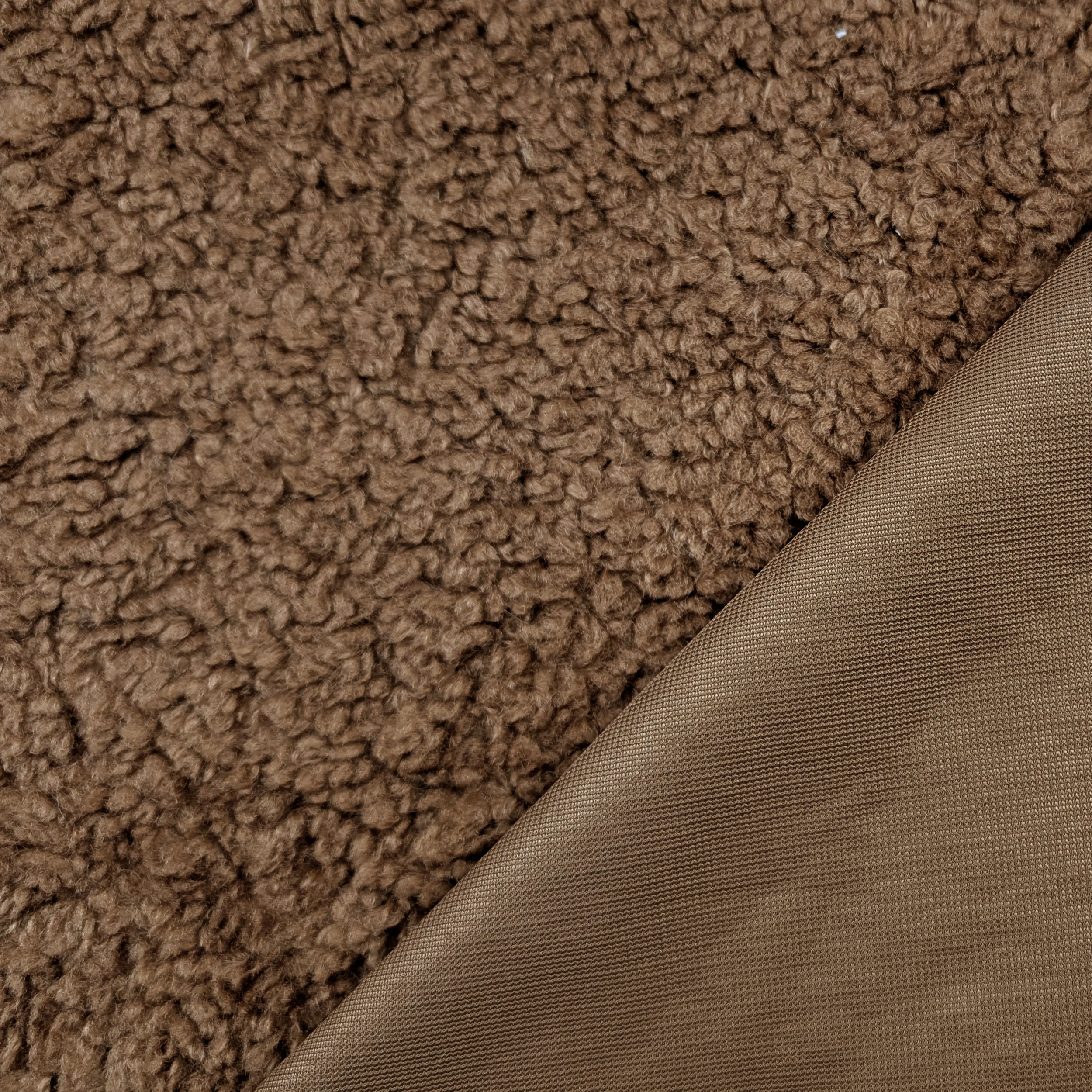 Pelliccia Teddy Special Biscotto Image