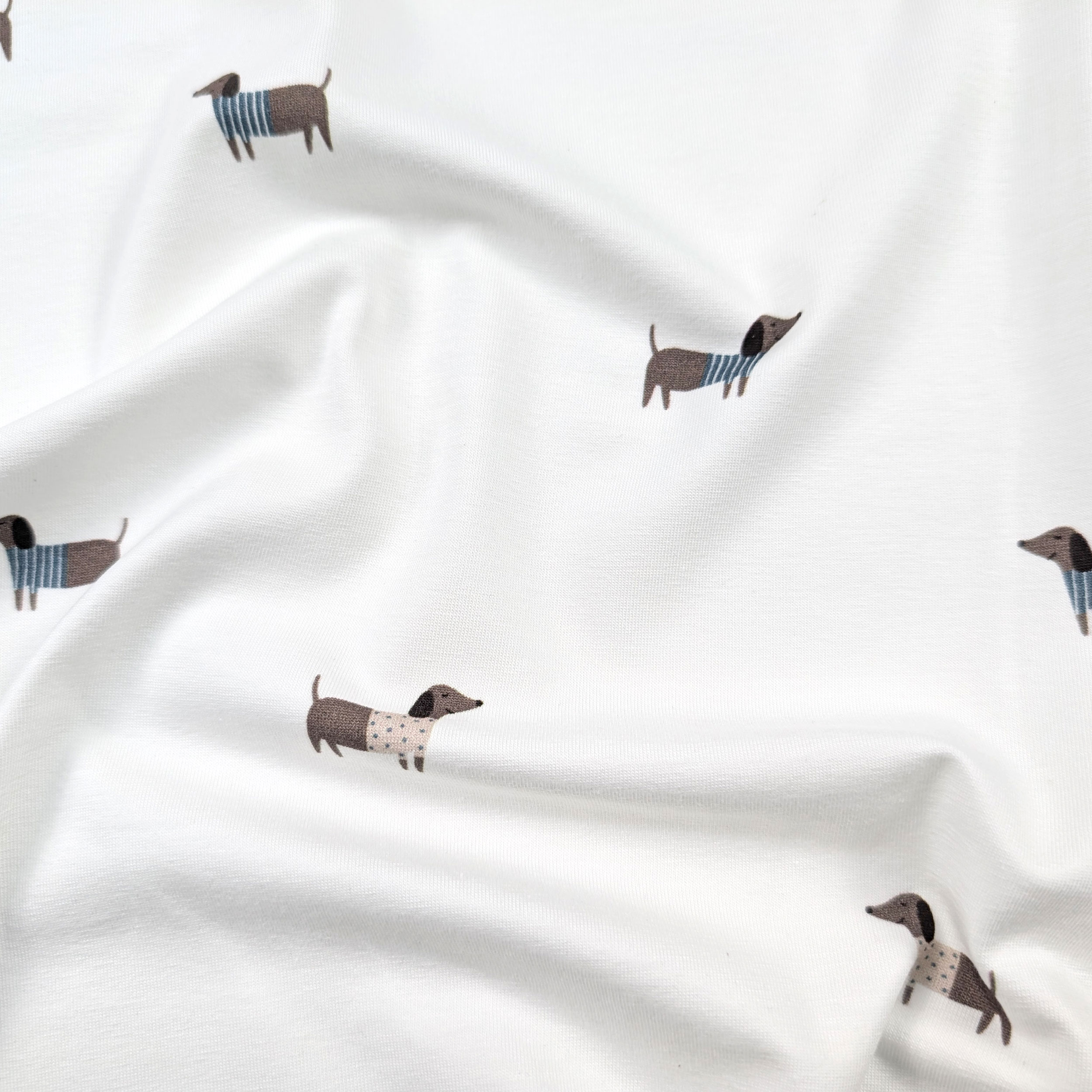 Jersey Cotone Bianco Dolci Bassotti Image