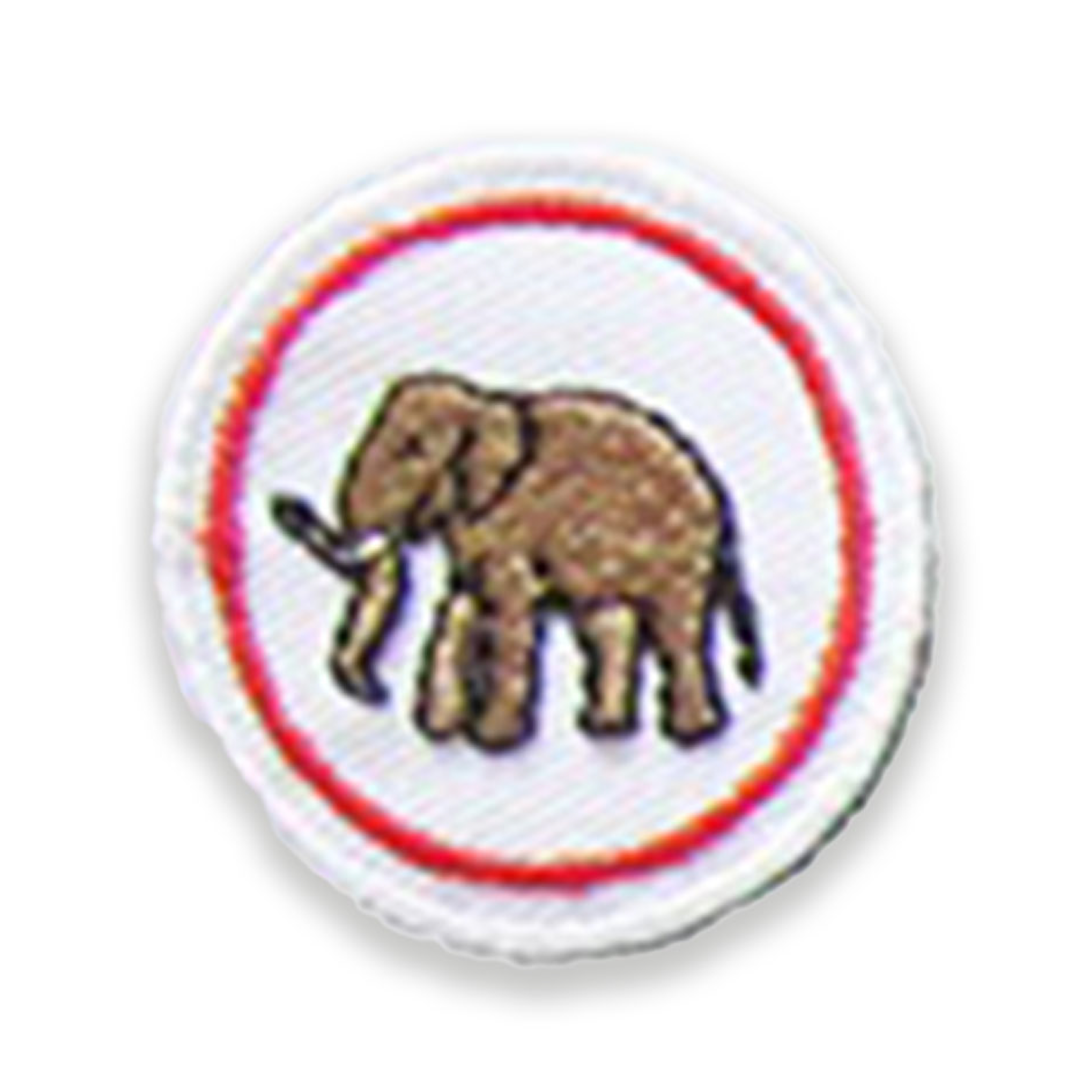 Elefante