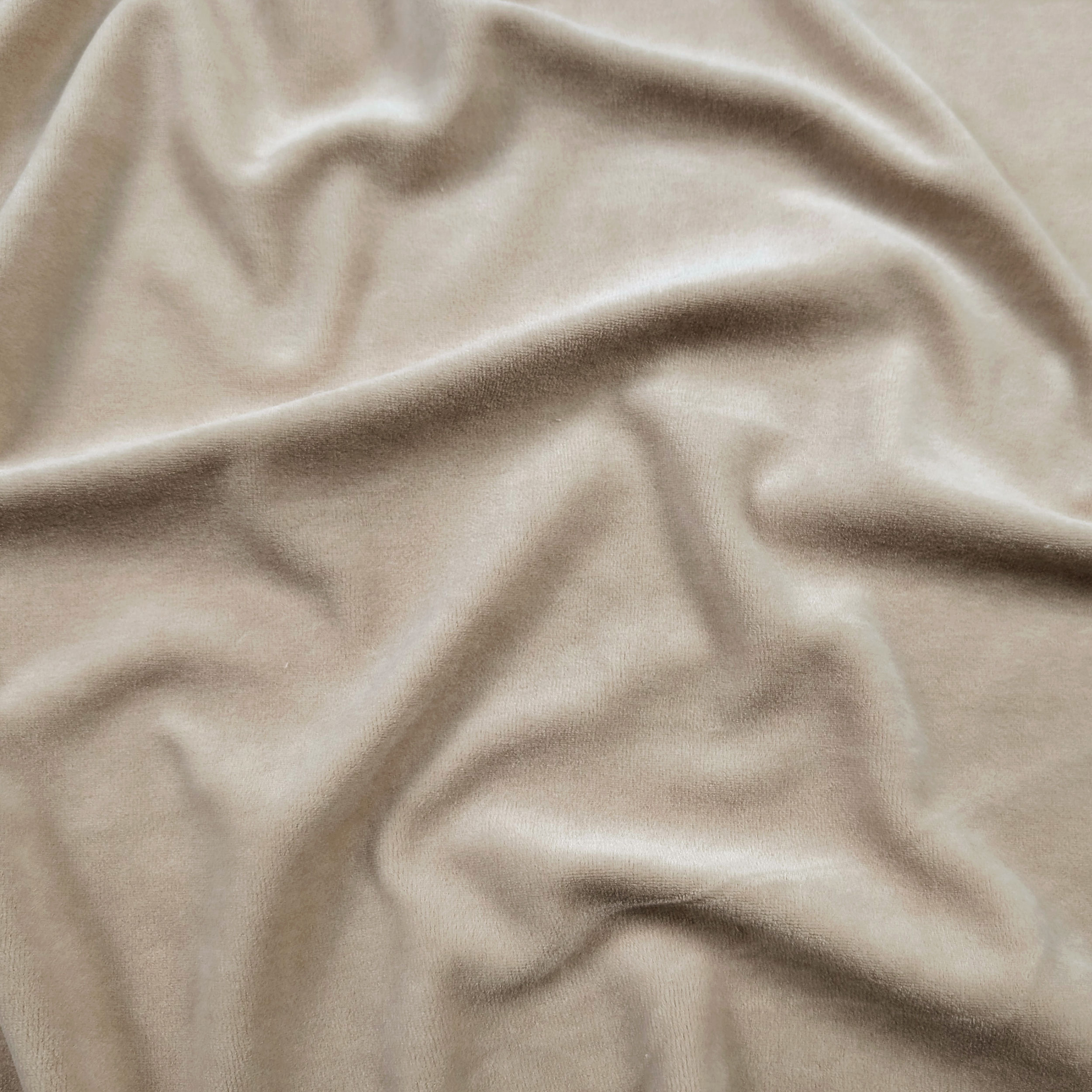 Ciniglia Cotone Image