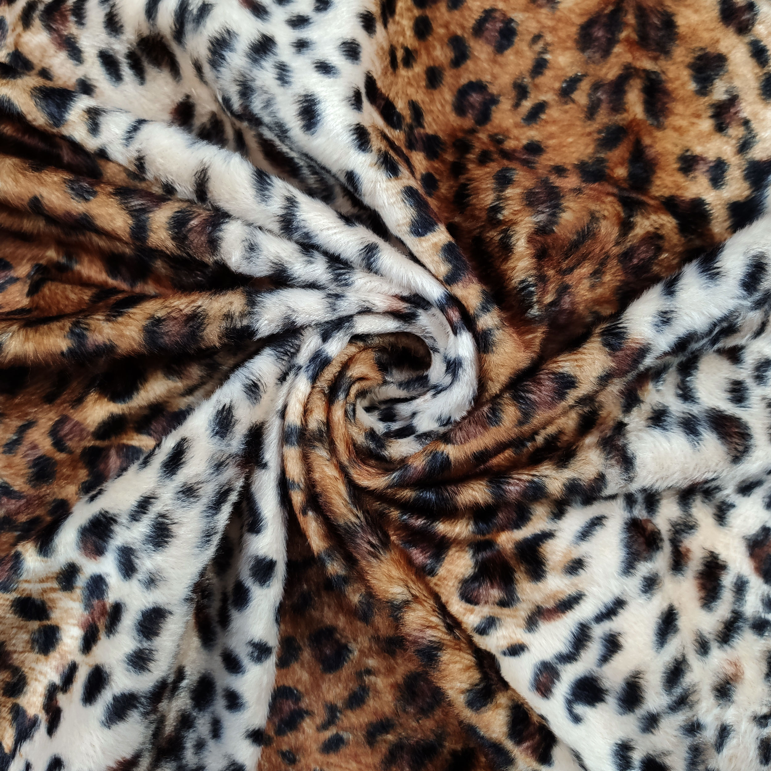 Cavallino Leopardato