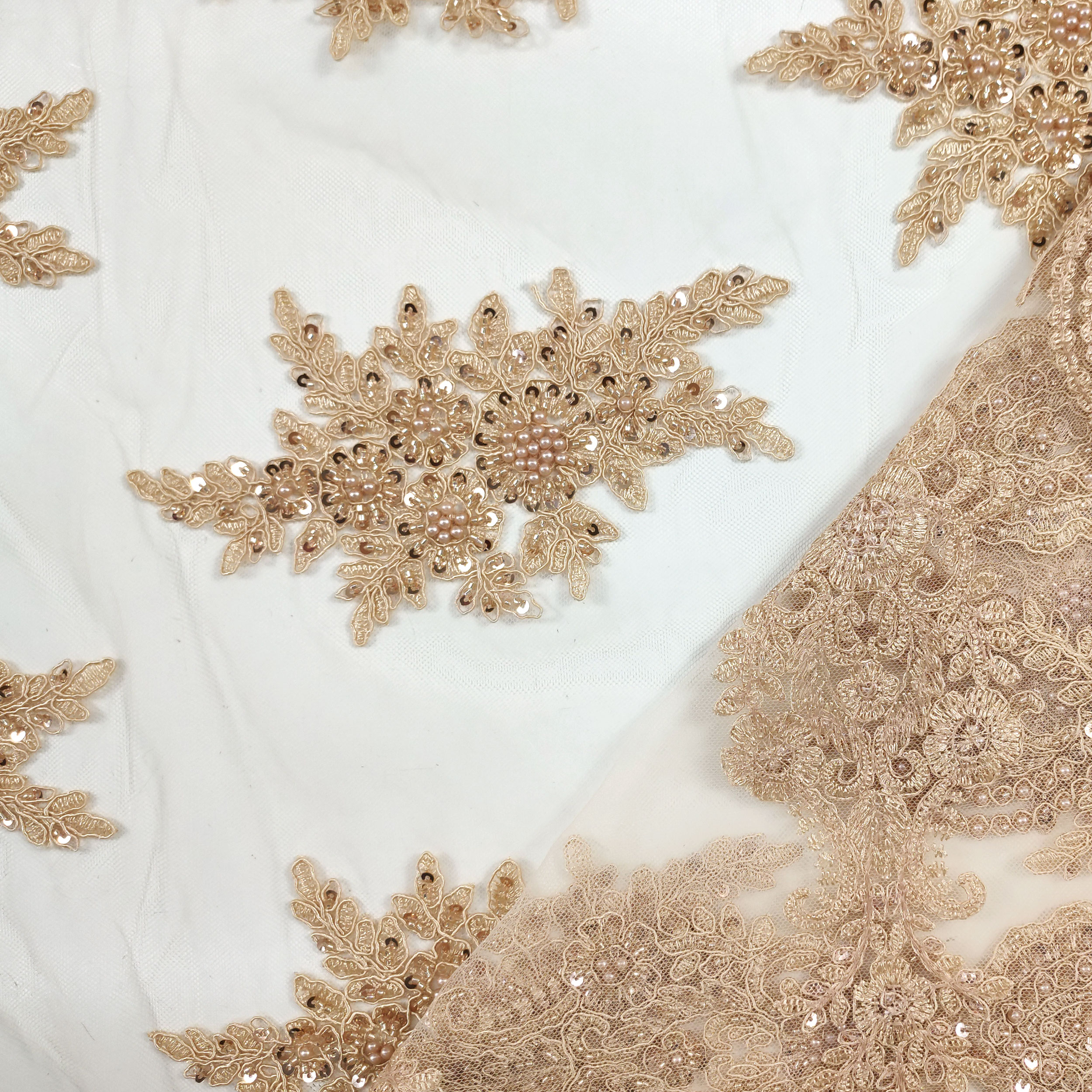 Pizzo Moda Beige Perle Image