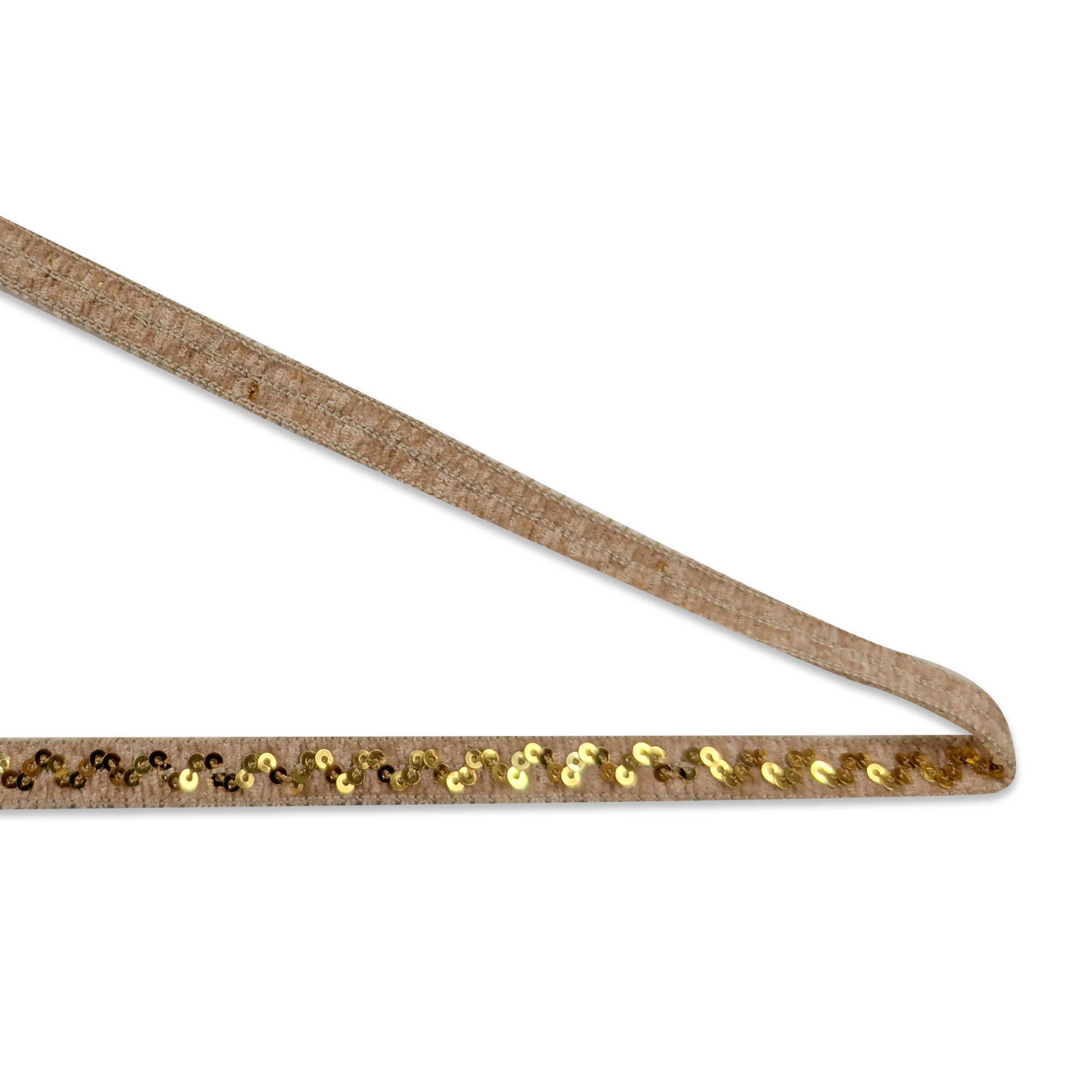 Passamaneria Beige con Paillettes Image