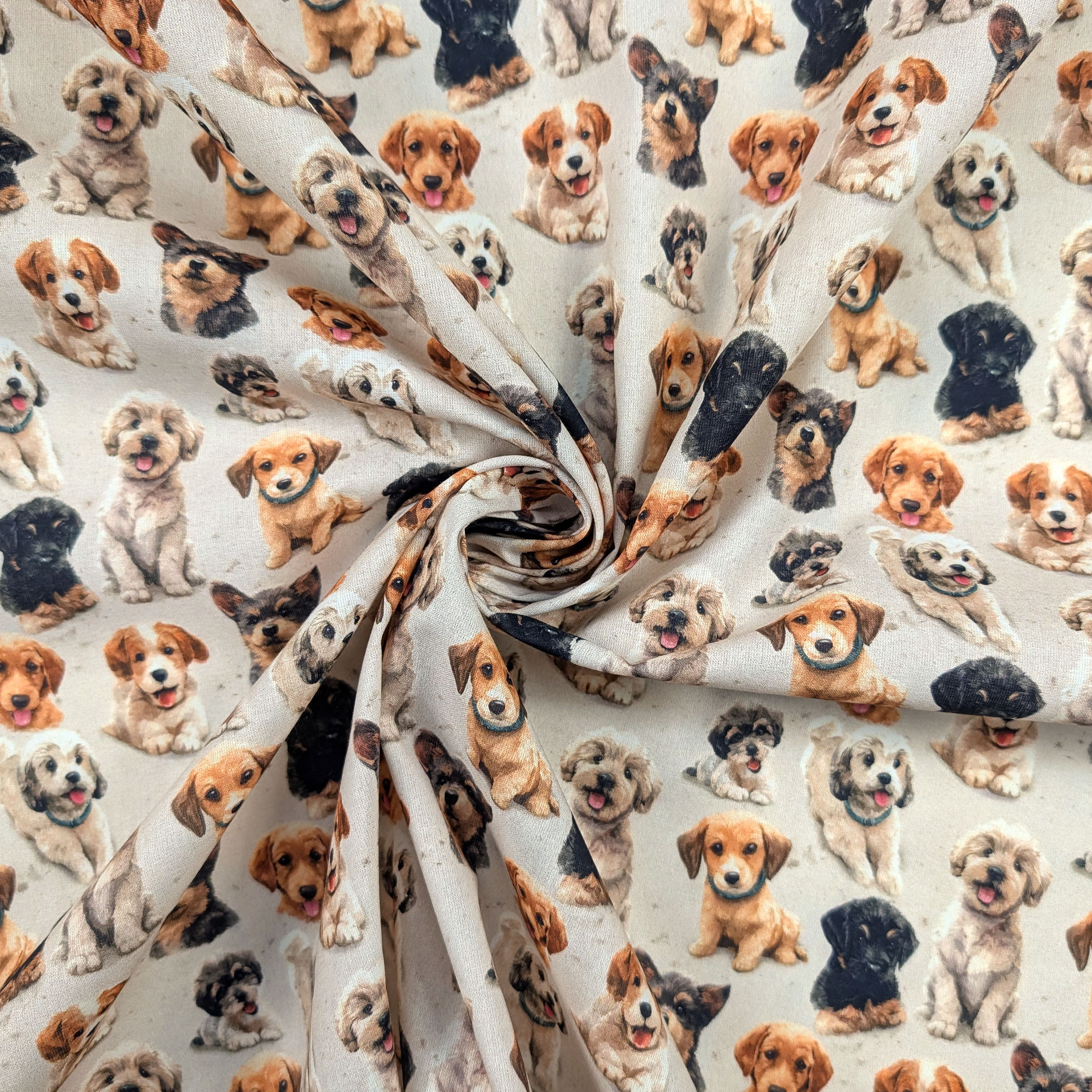 Cotone Fantasia Cagnolini Image