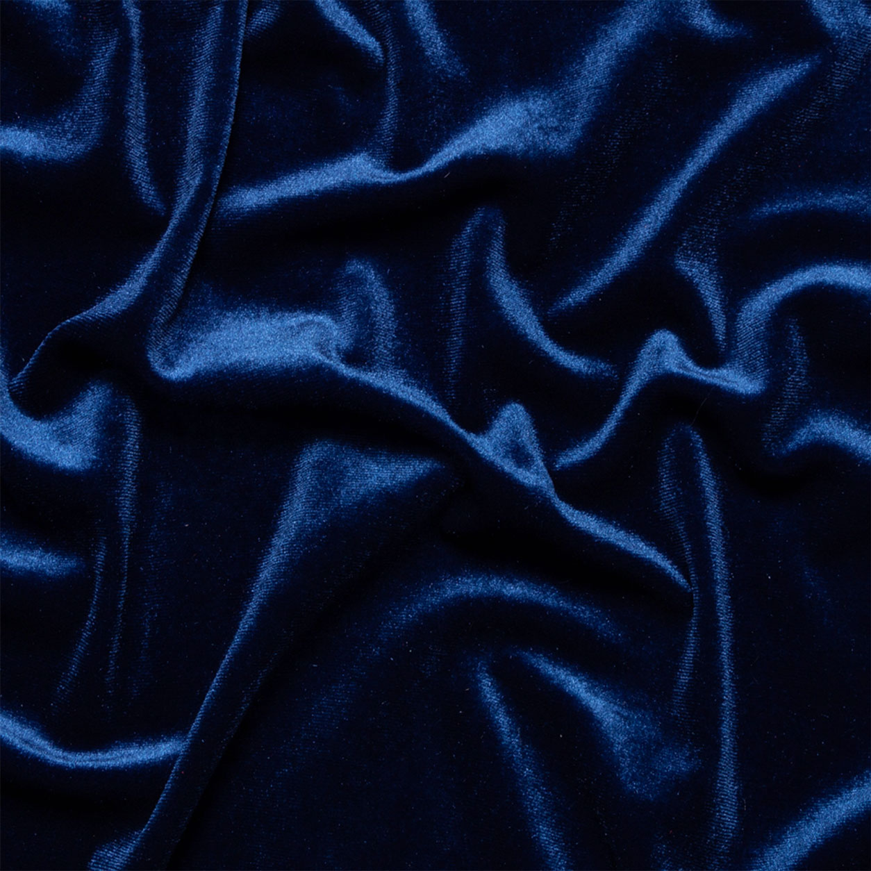 Vellutina Bielastica Image