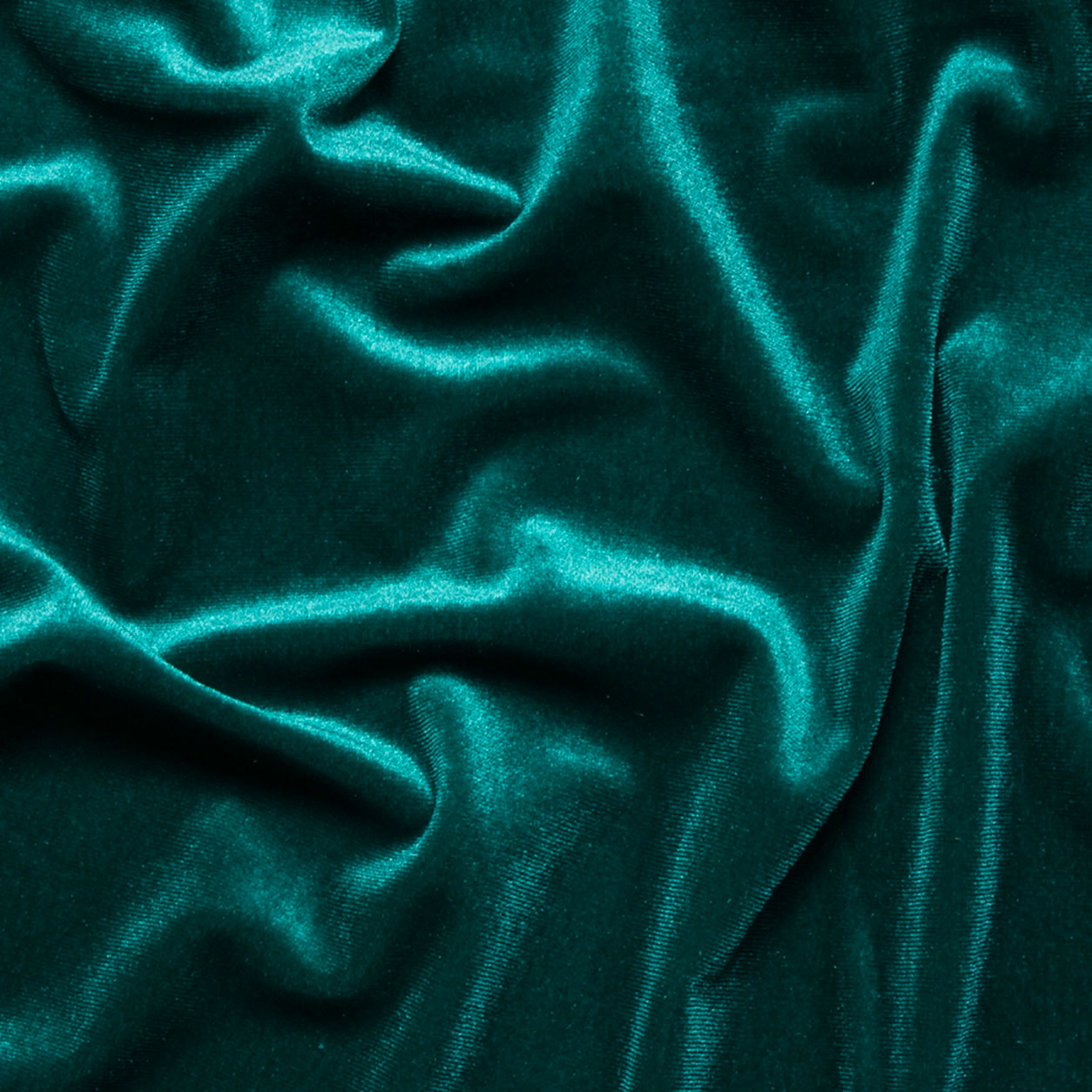 Vellutina Bielastica Image